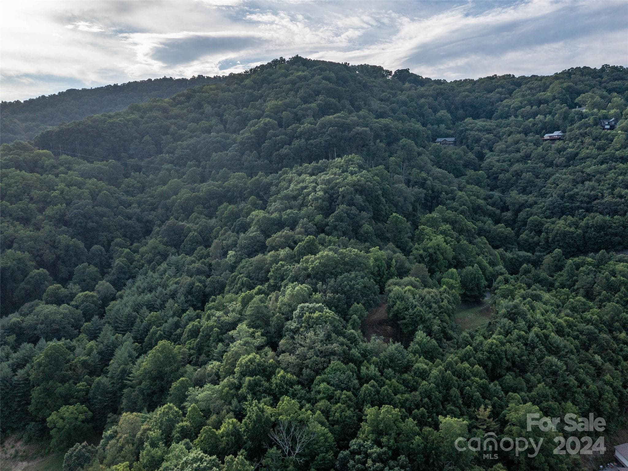 Lot at Waynesville, photo 15 of 24