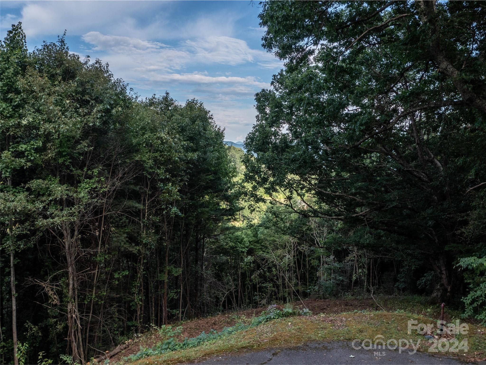 Lot at Waynesville, photo 24 of 24