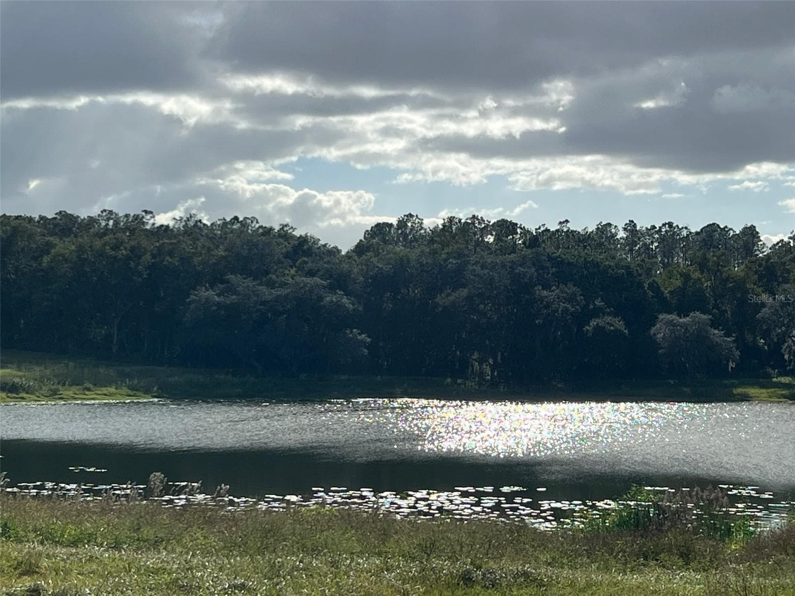 Land at SE 74TH LANE RD #8-WEST, OCKLAWAHA, photo 38 of 52