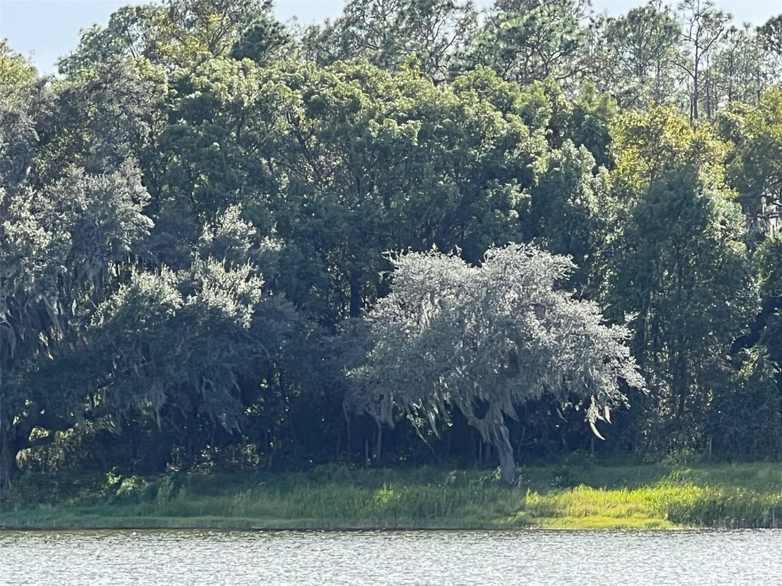 Land at SE 74TH LANE RD #8-WEST, OCKLAWAHA, photo 41 of 52