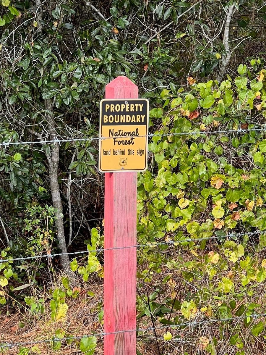 Land at SE 74TH LANE RD #9-WEST, OCKLAWAHA, photo 44 of 45