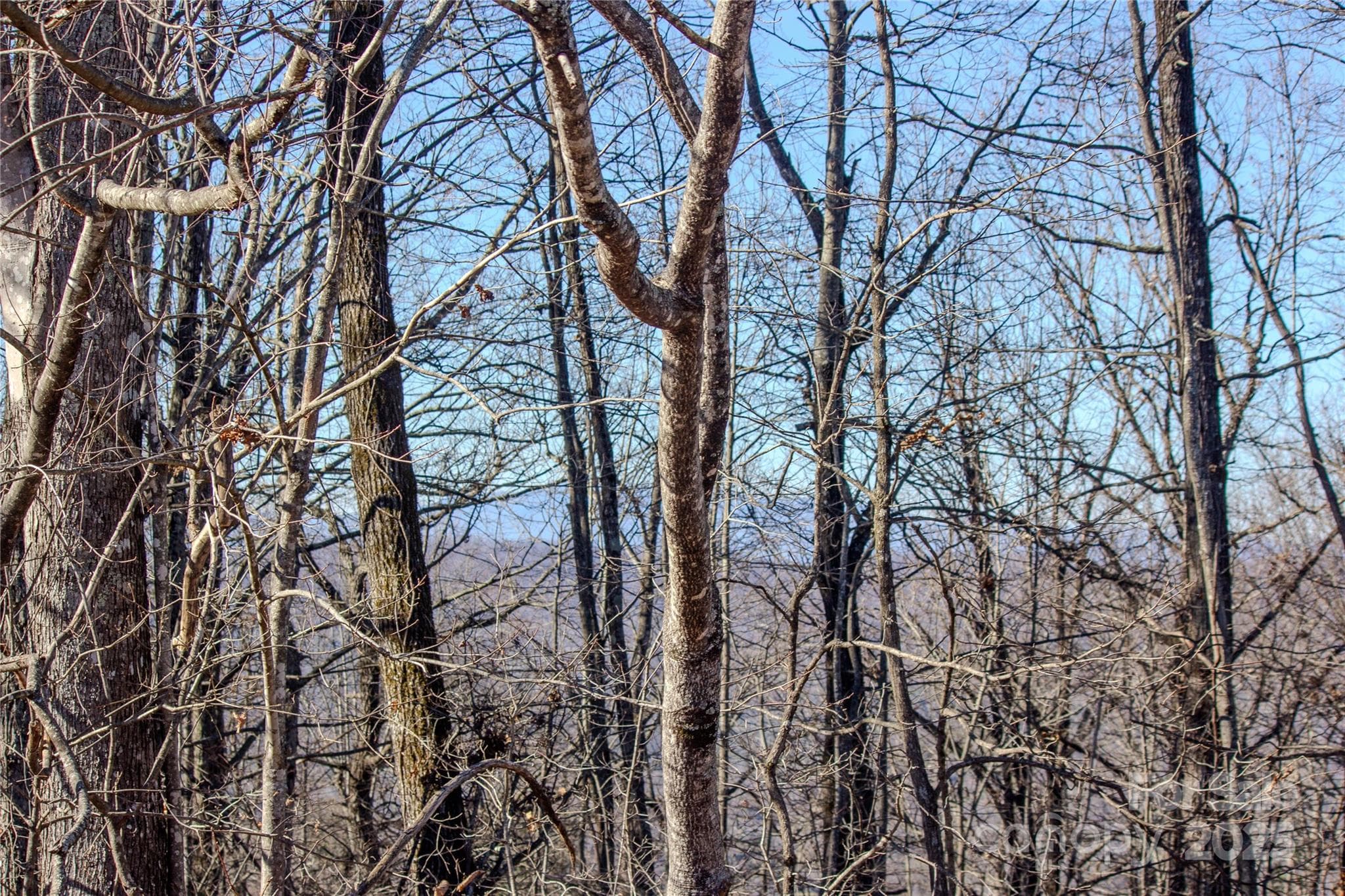 View Grandfather Mtn through trees - 2206 Nighthawk Ridge Court, Lenoir
