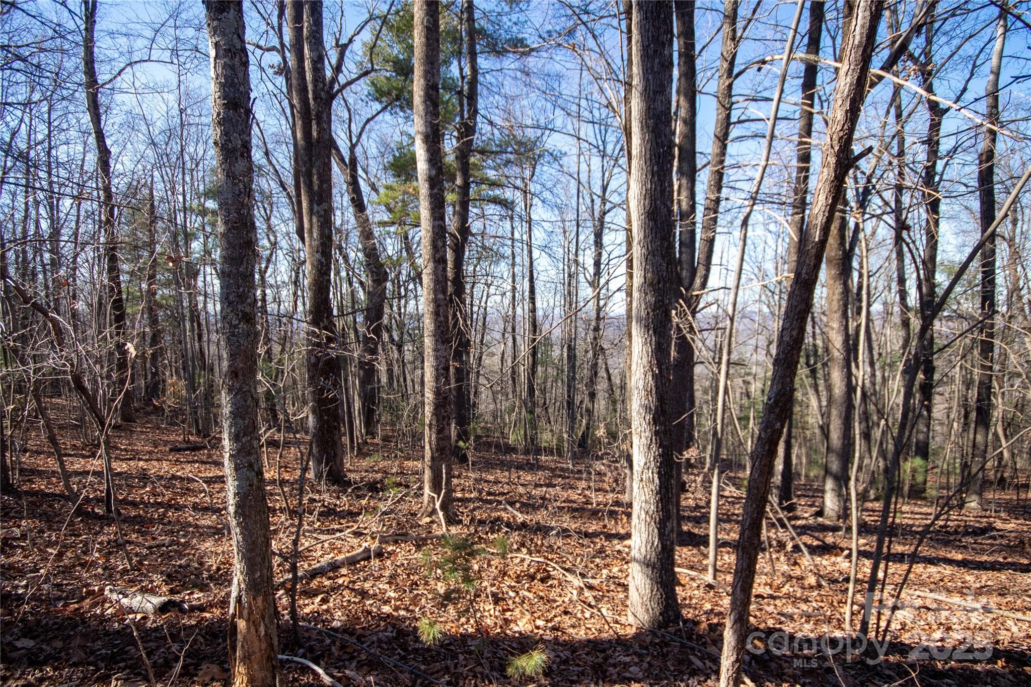 Great Building Site! - 2206 Nighthawk Ridge Court, Lenoir