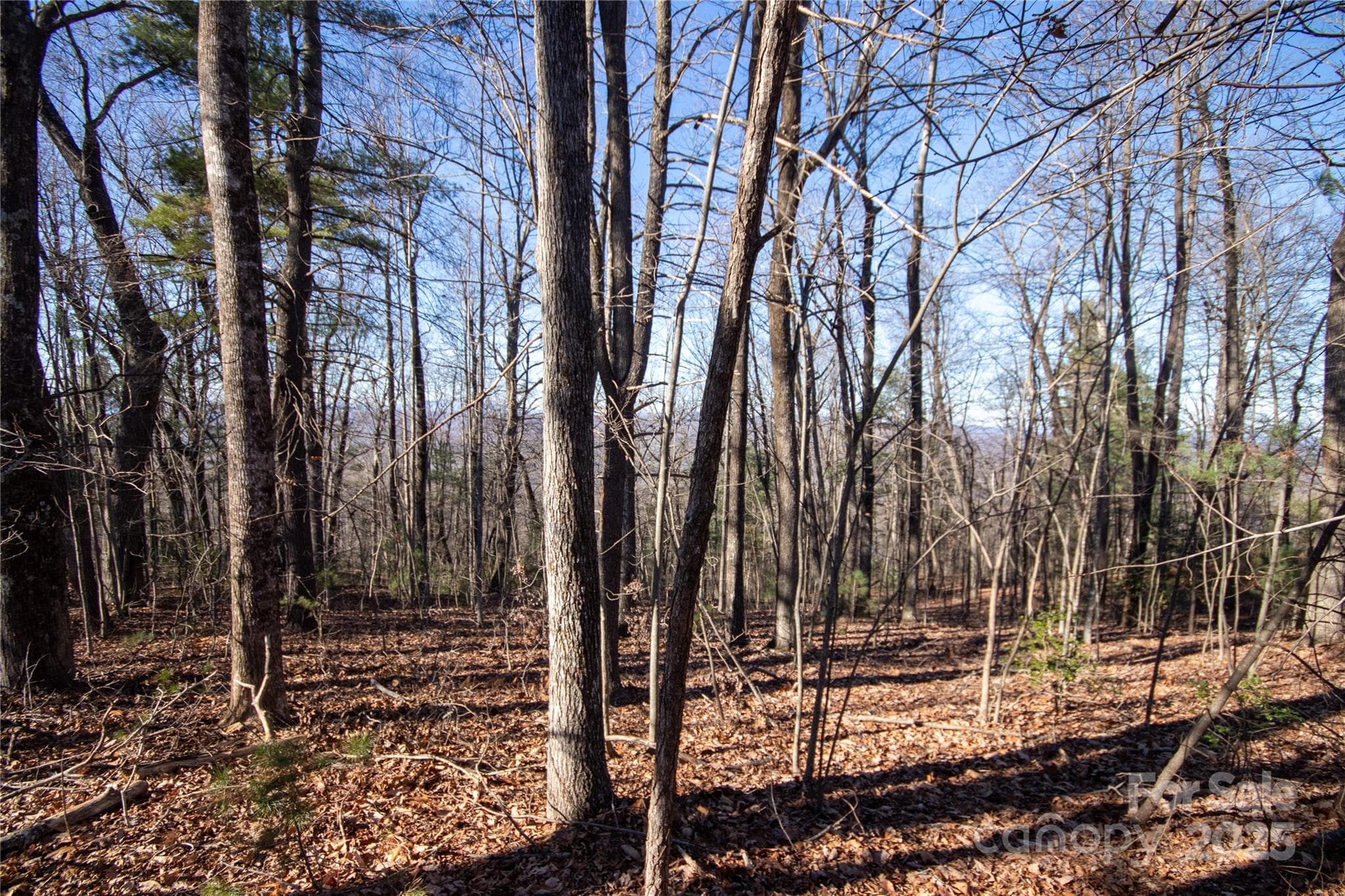 Lot at 2206 Nighthawk Ridge Court, Lenoir, photo 5 of 7