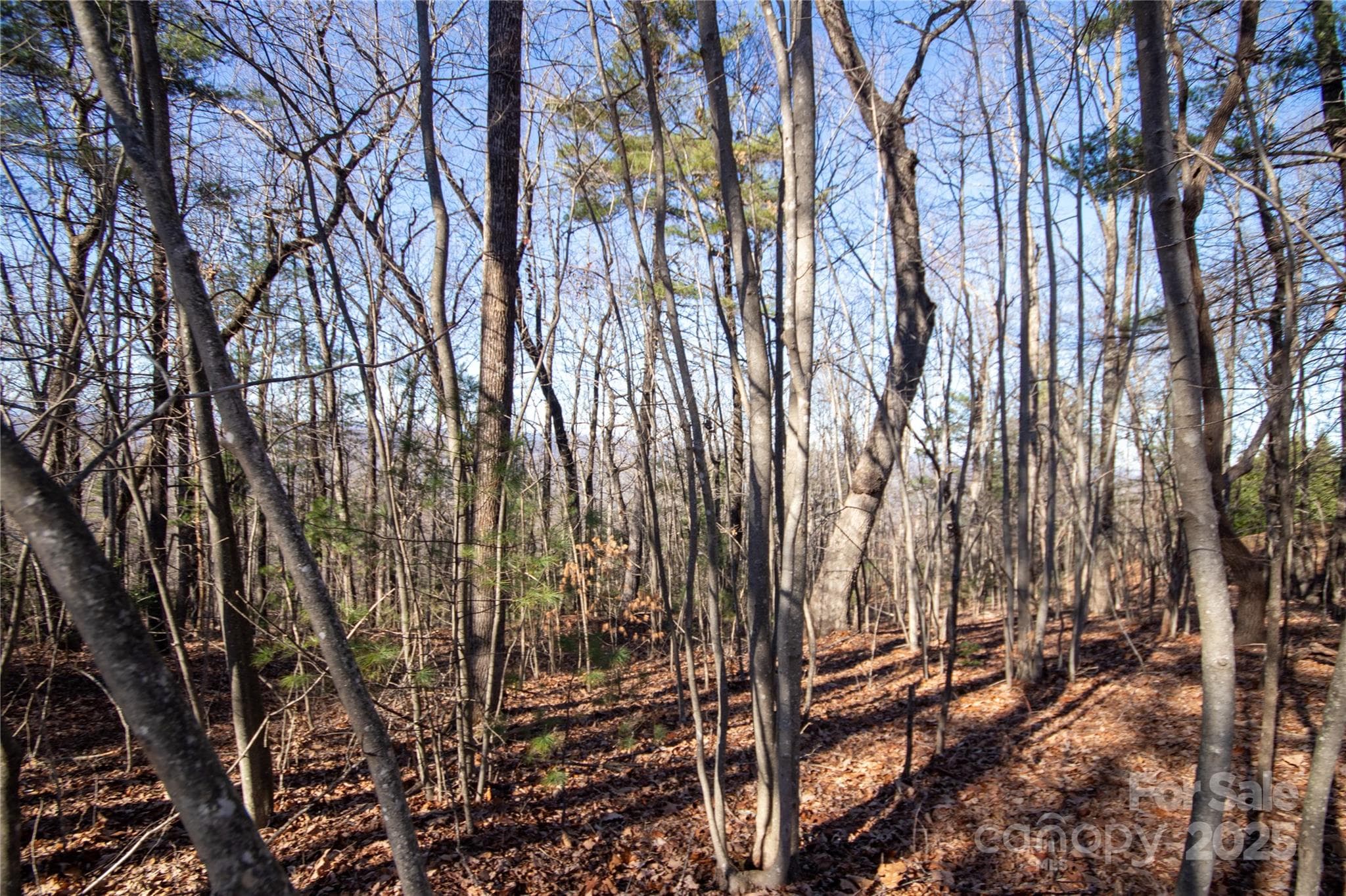Lot at 2206 Nighthawk Ridge Court, Lenoir, photo 6 of 7