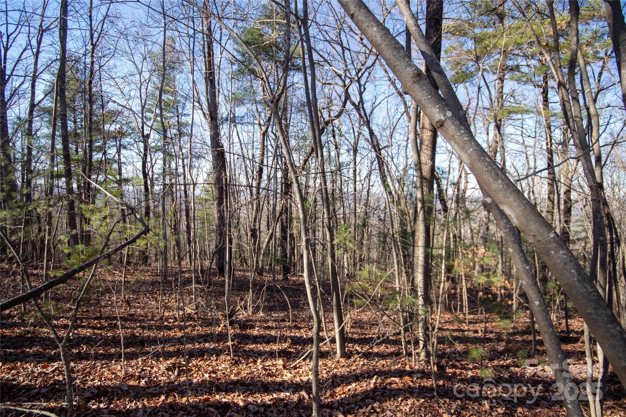 Lot at 2206 Nighthawk Ridge Court, Lenoir, photo 7 of 7