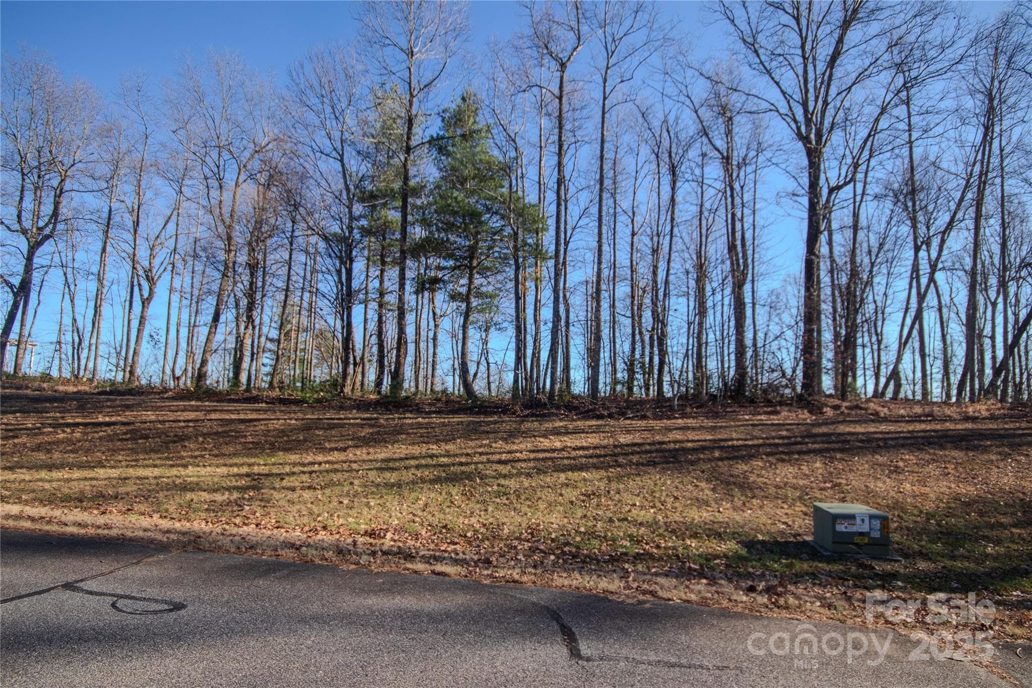 Lot at Lenoir, photo 3 of 14