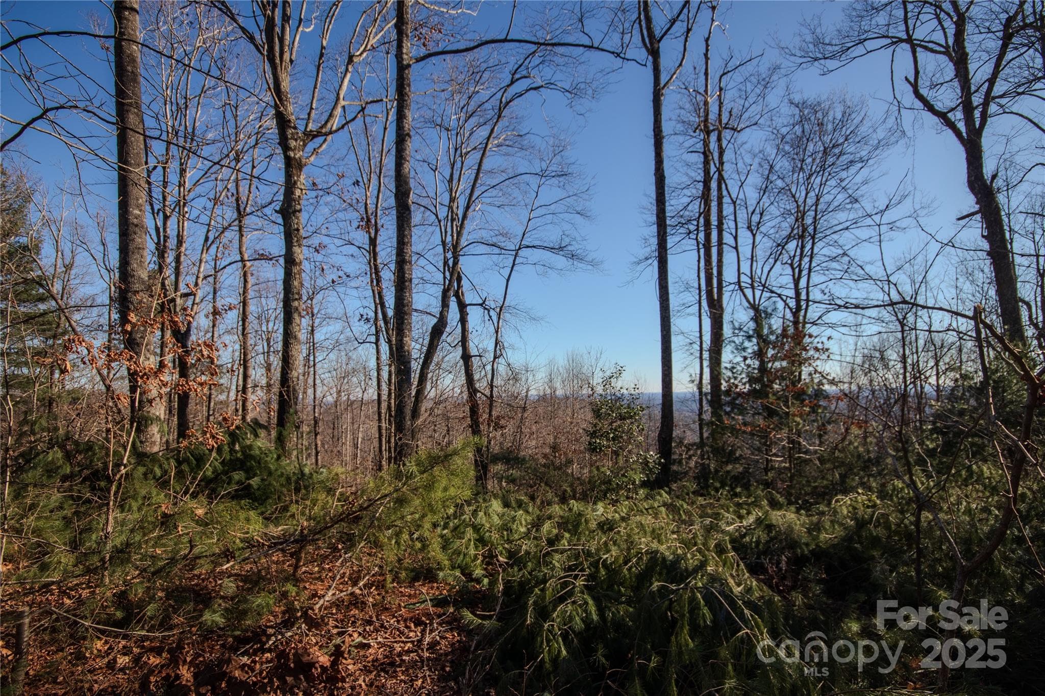 Long Range Mtn Views Once Cleared - Lenoir