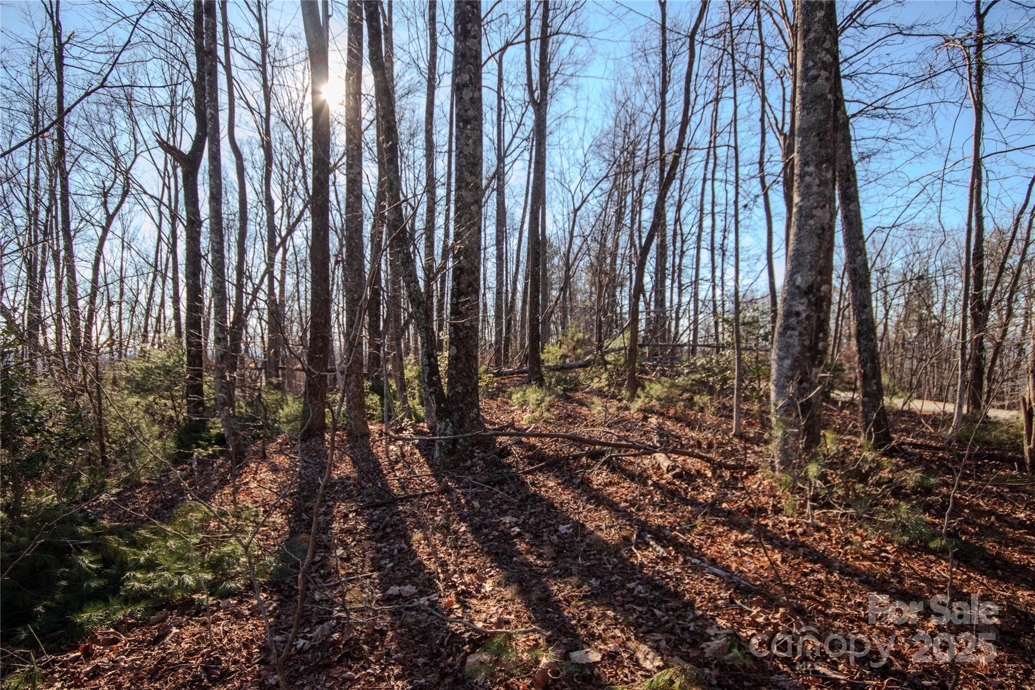 Lot at Lenoir, photo 5 of 14