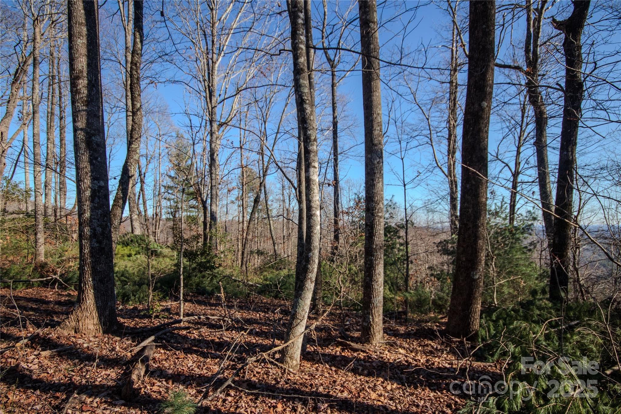 Lot at Lenoir, photo 6 of 14
