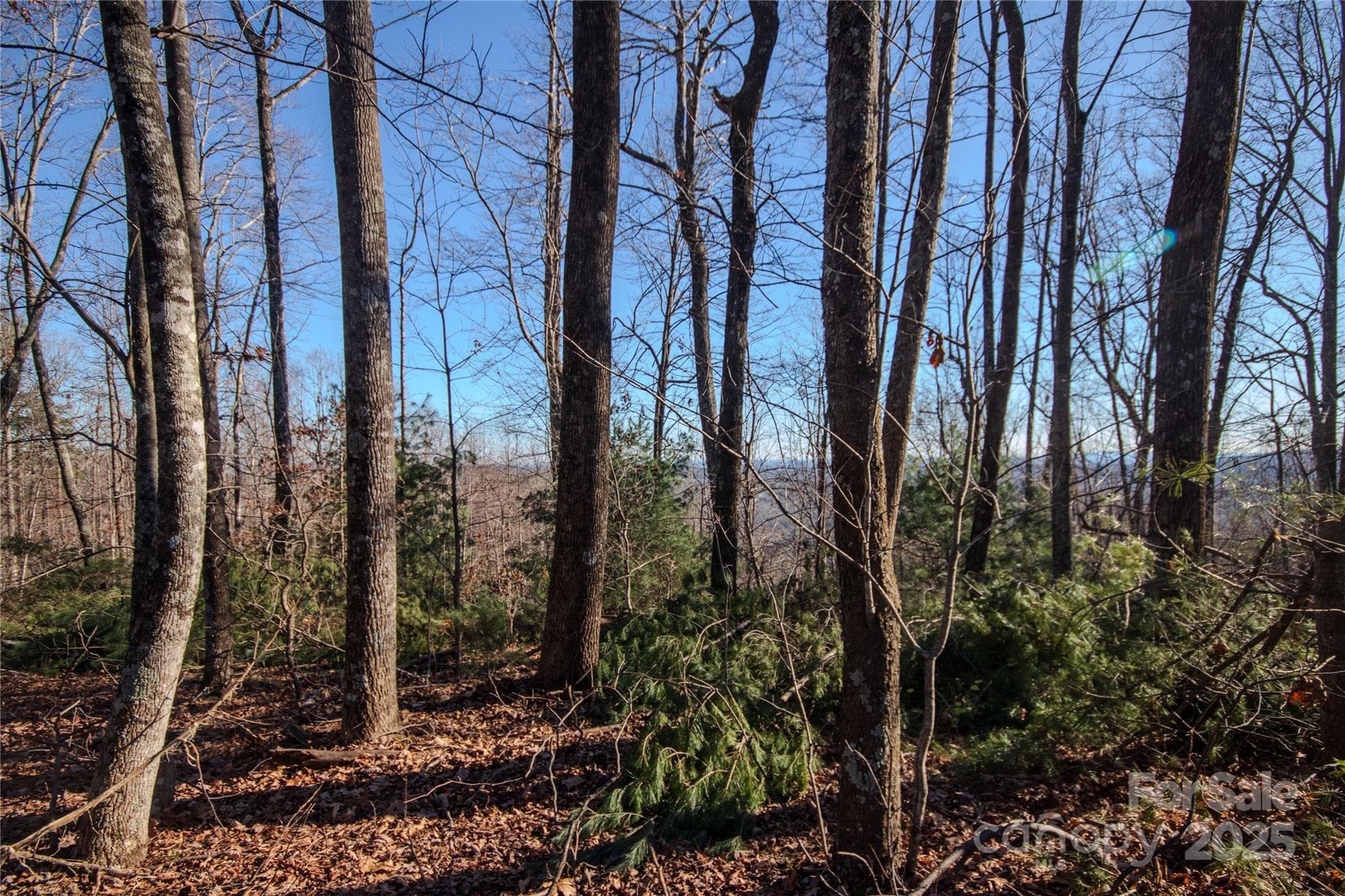 Lot at Lenoir, photo 7 of 14