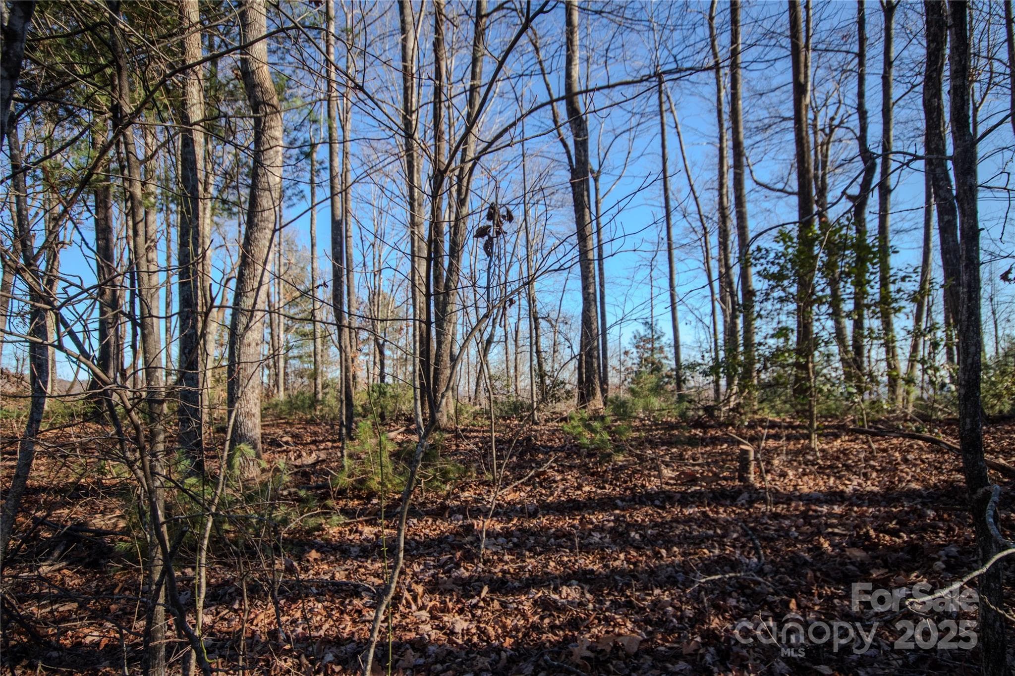 Lot at Lenoir, photo 8 of 14