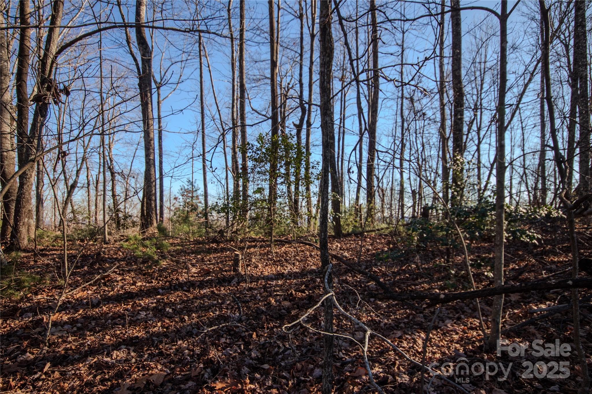 Lot at Lenoir, photo 9 of 14