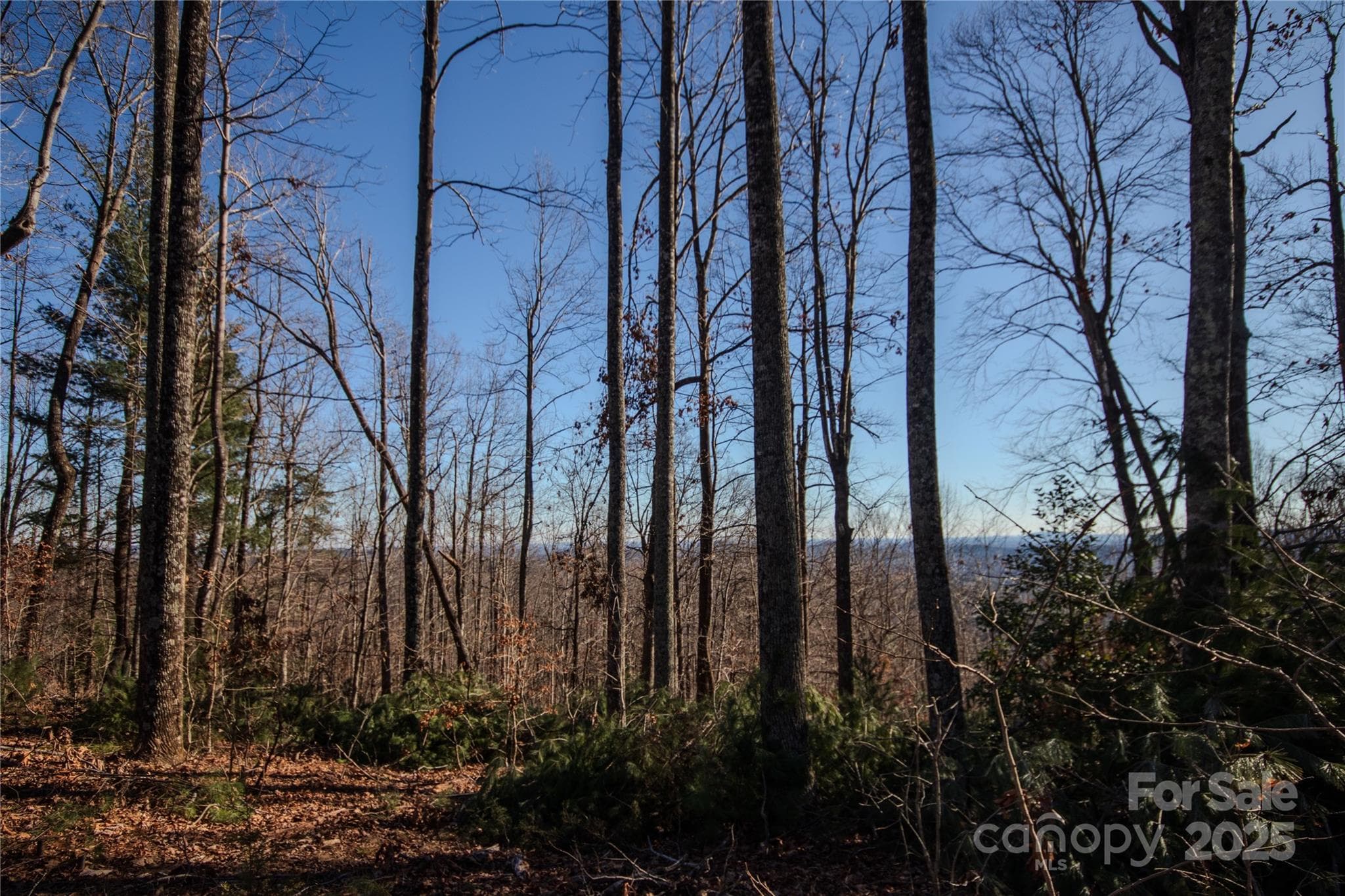 Lot at Lenoir, photo 10 of 14