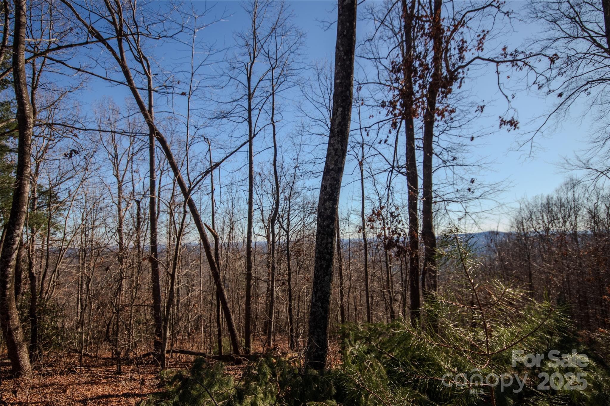 Long Range Mtn Views ! - Lenoir