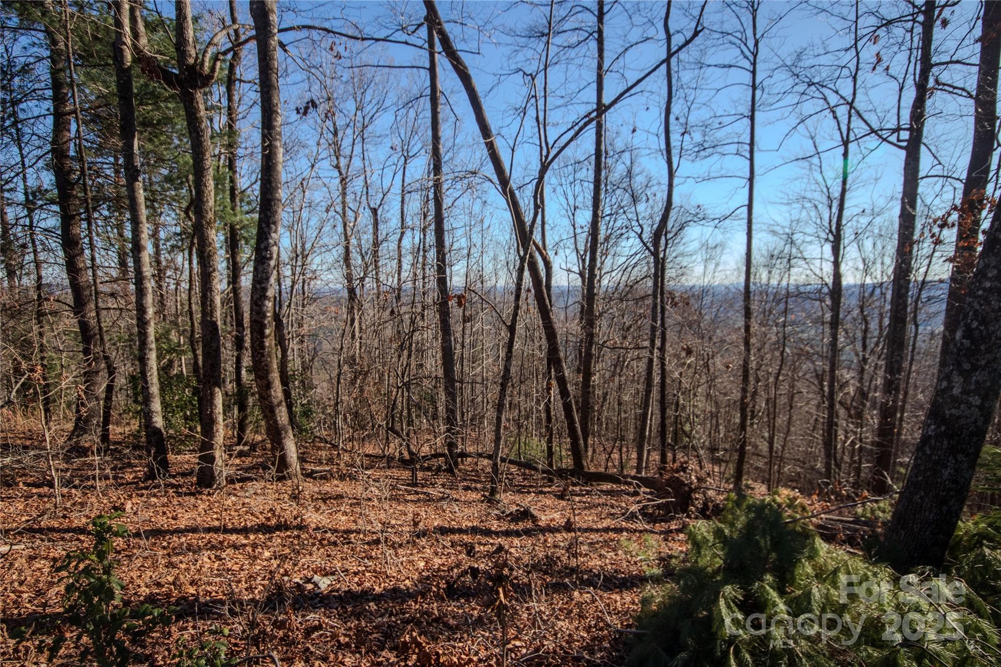 Lot at Lenoir, photo 12 of 14