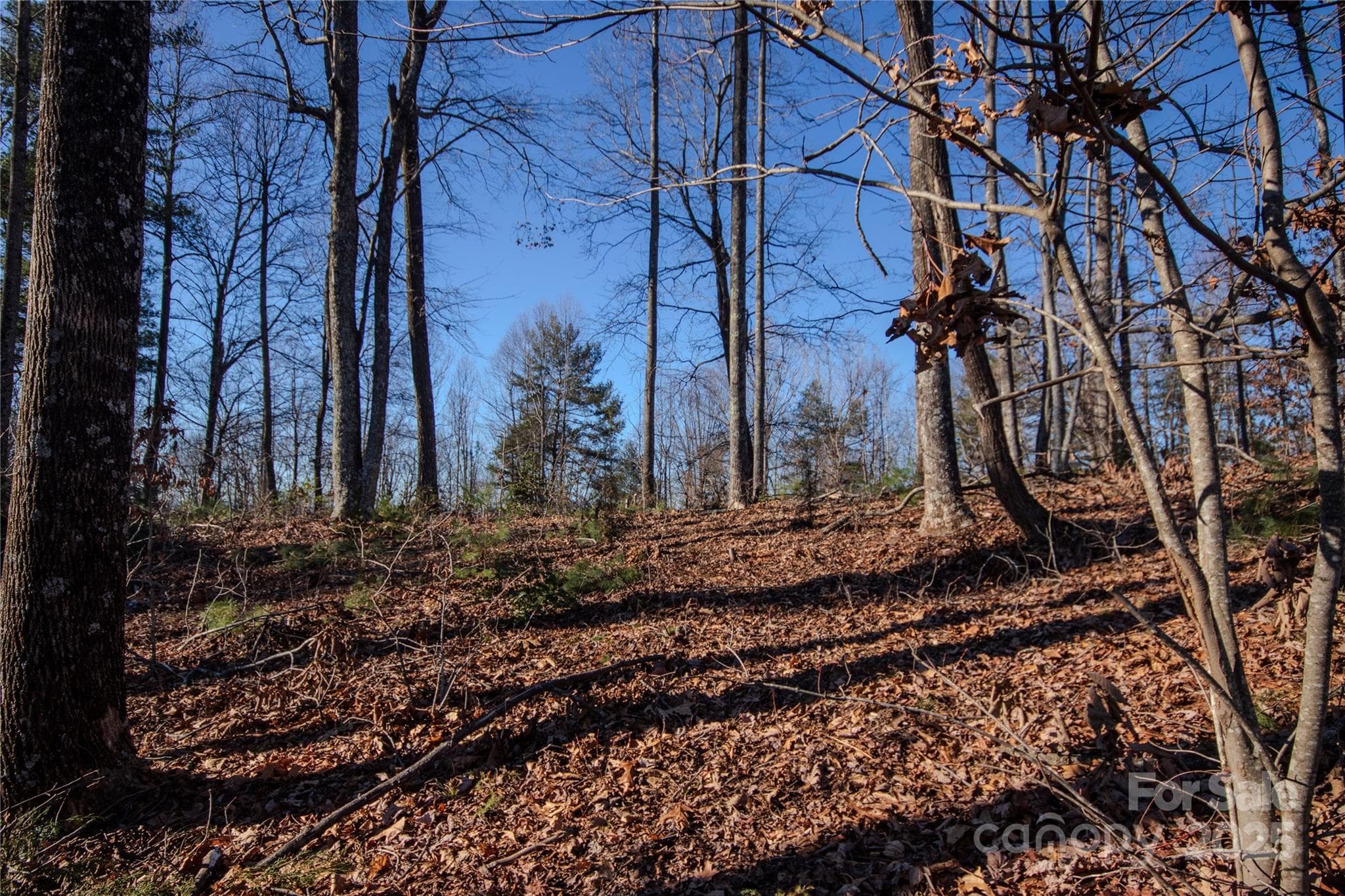 Lot at Lenoir, photo 13 of 14