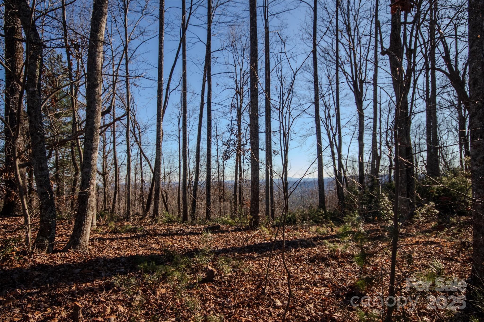 Lot at Lenoir, photo 14 of 14