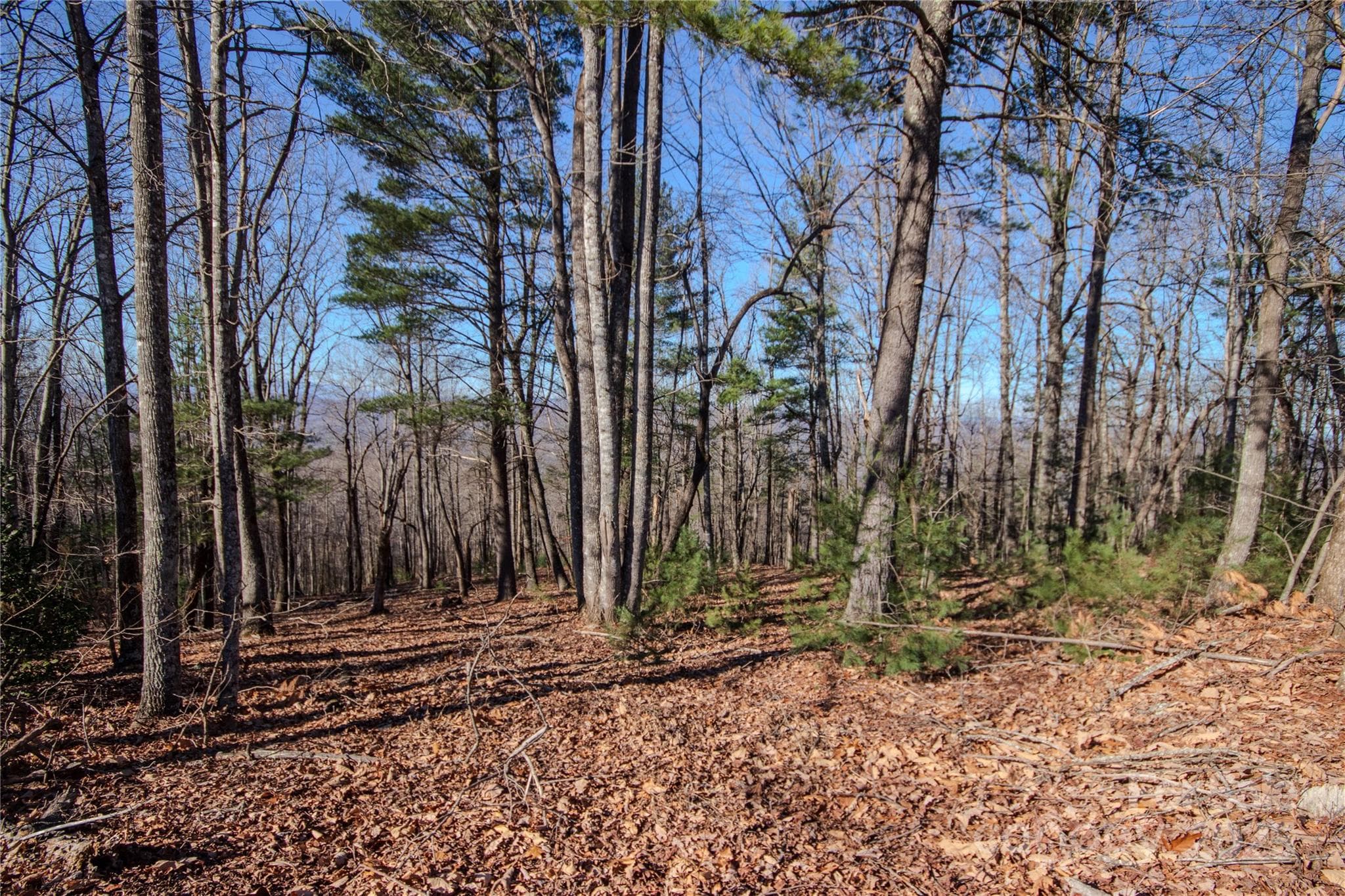 Lot at Lenoir, photo 5 of 10