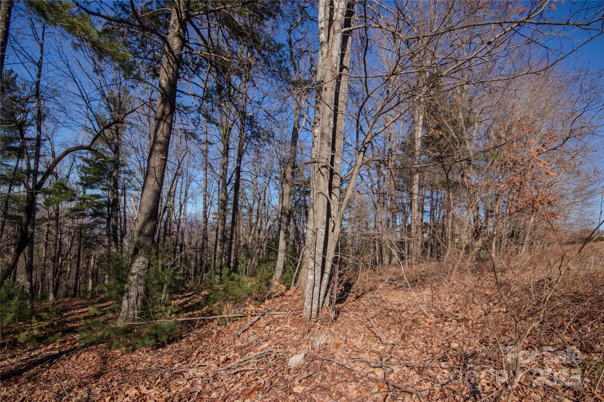 Lot at Lenoir, photo 6 of 10