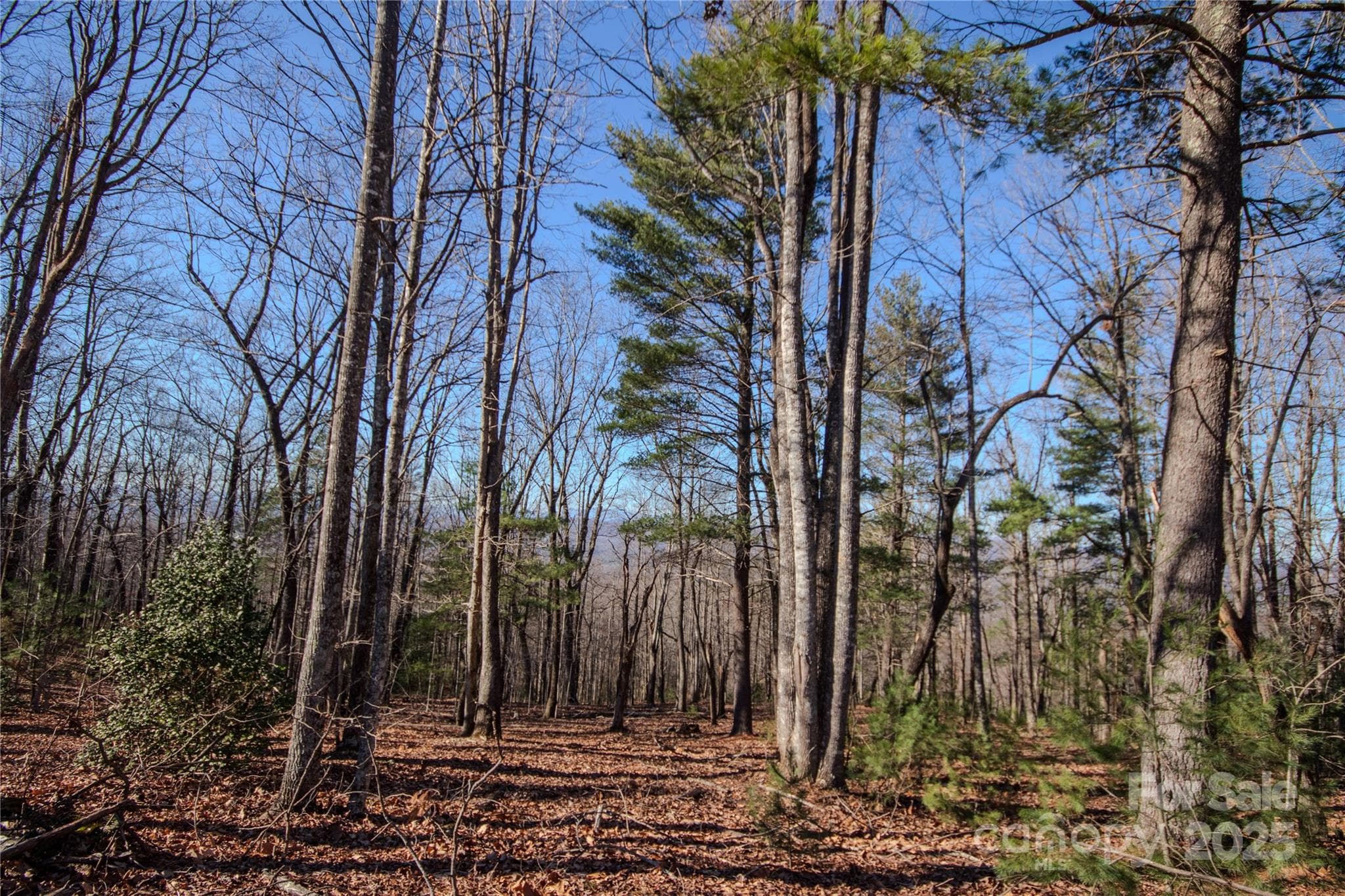 Lot at Lenoir, photo 7 of 10