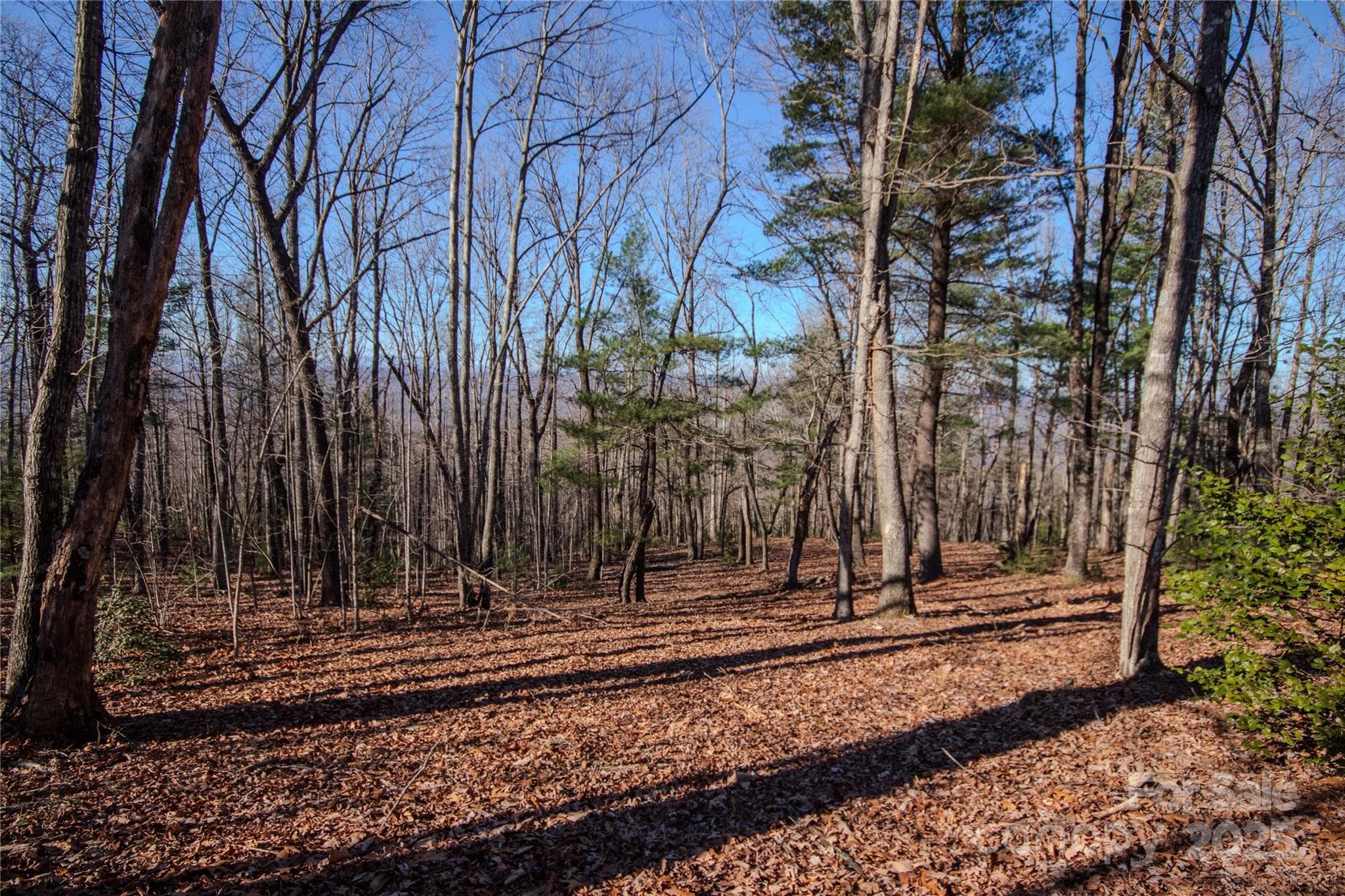 Lot at Lenoir, photo 8 of 10