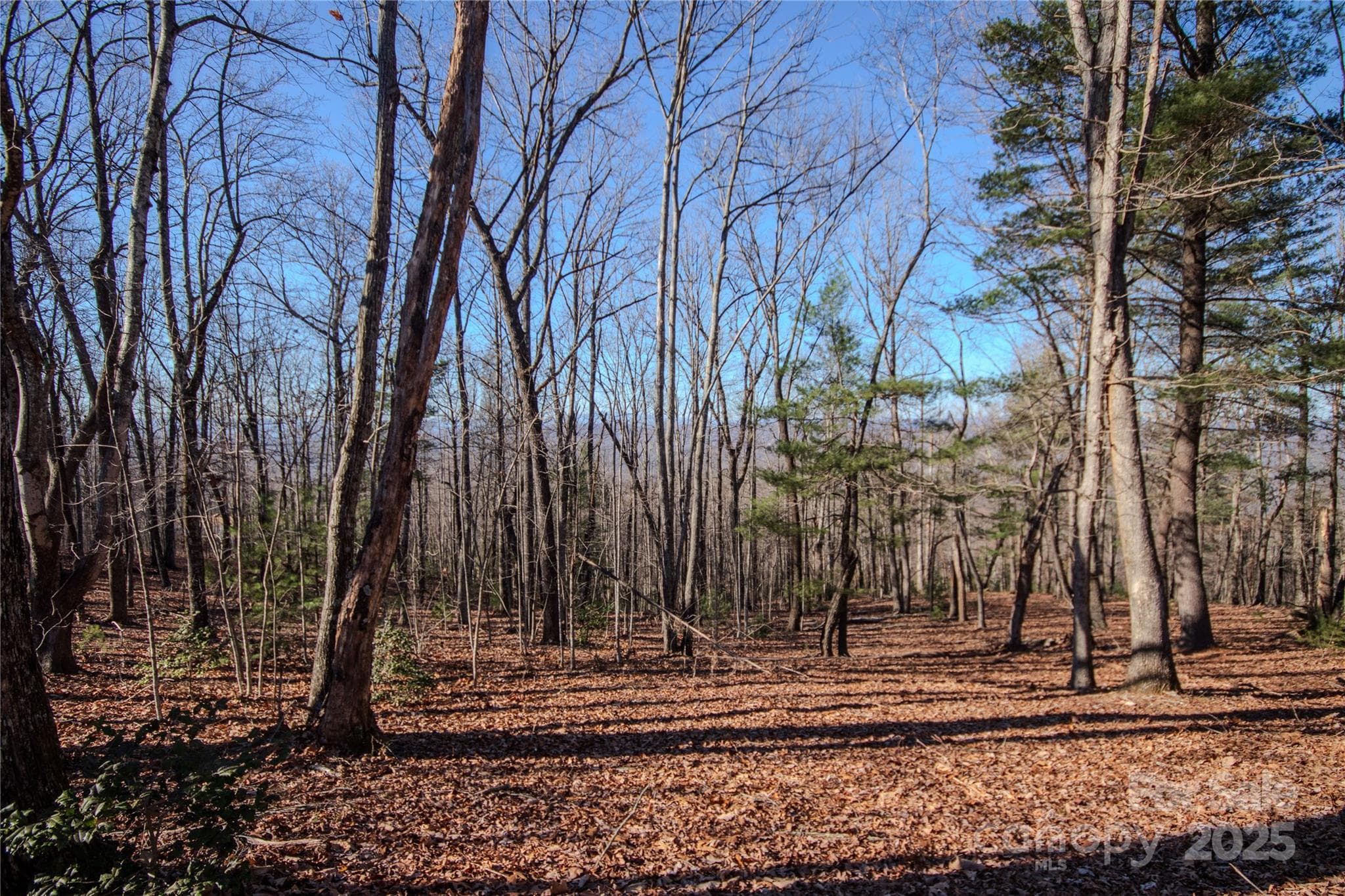 Lot at Lenoir, photo 9 of 10