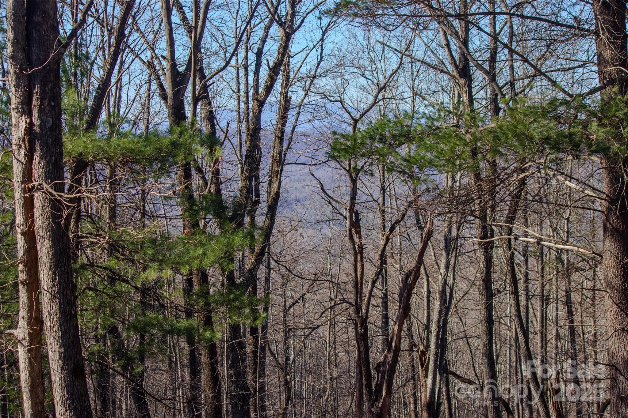 Grandfather Mtn - Lenoir