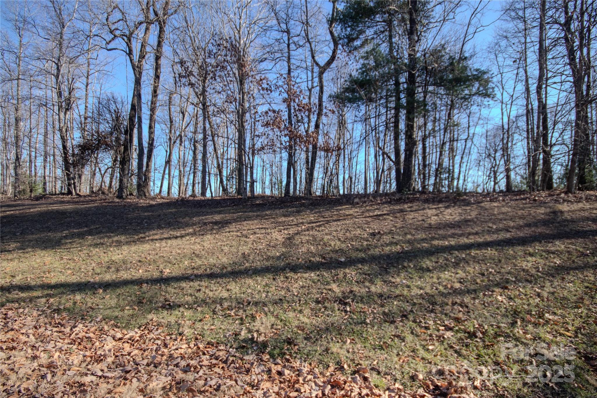 Lot at Lenoir, photo 3 of 12