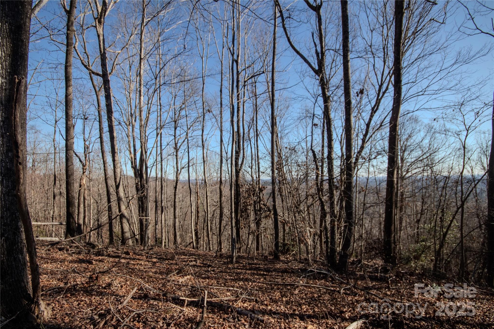 Long Range Mtn Views! - Lenoir