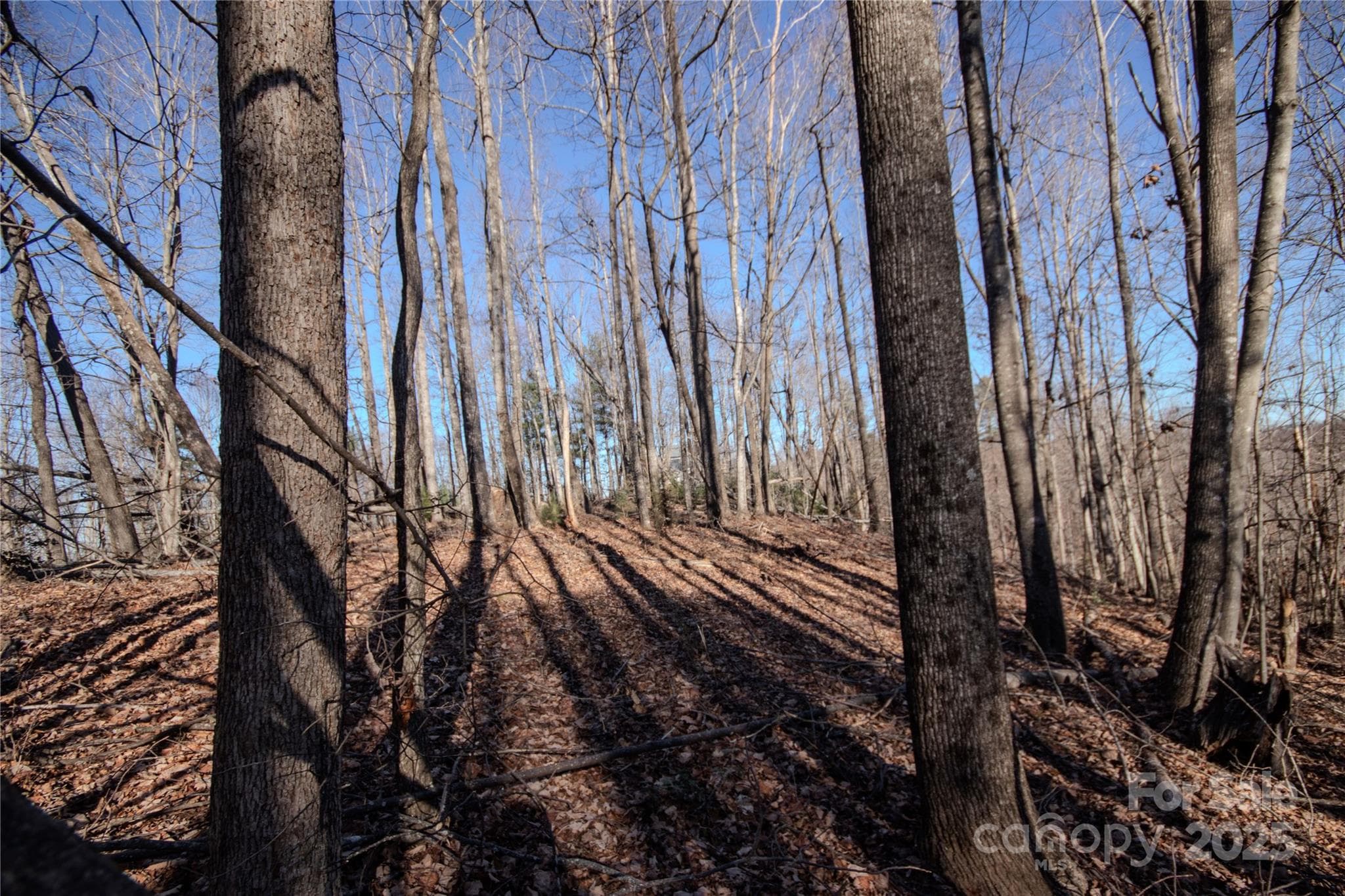 Lot at Lenoir, photo 6 of 12