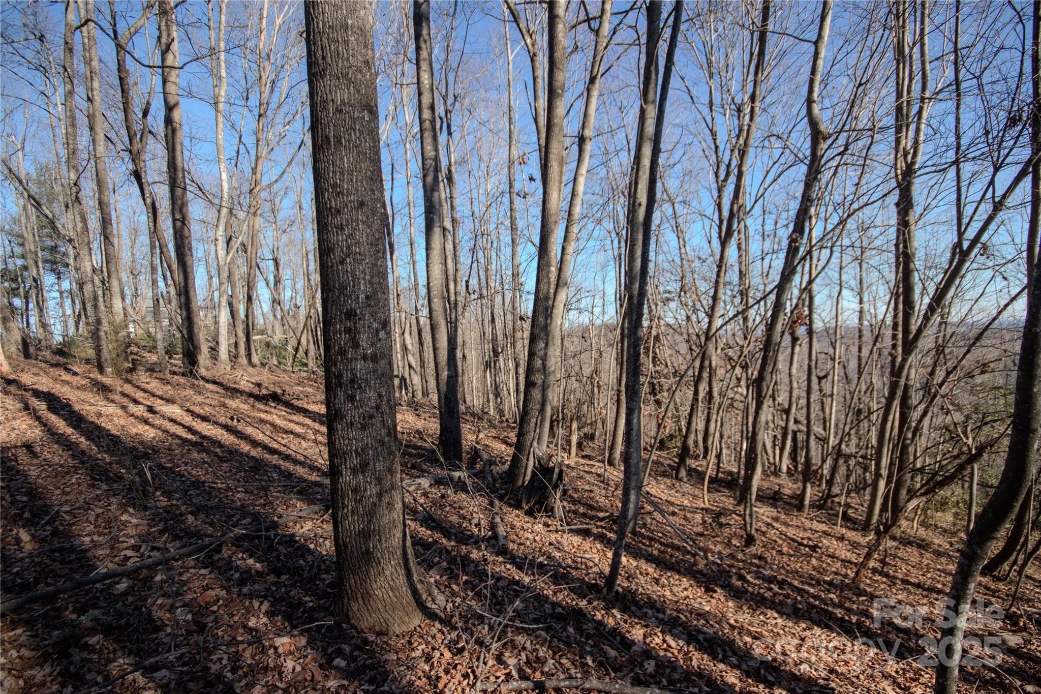 Lot at Lenoir, photo 7 of 12