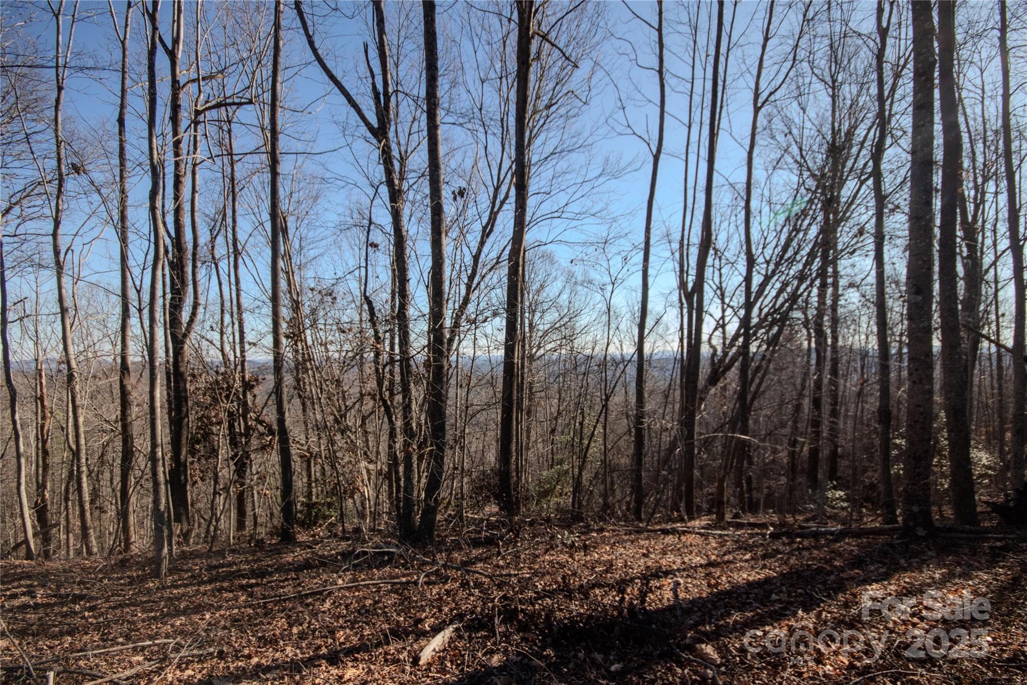 Lot at Lenoir, photo 8 of 12