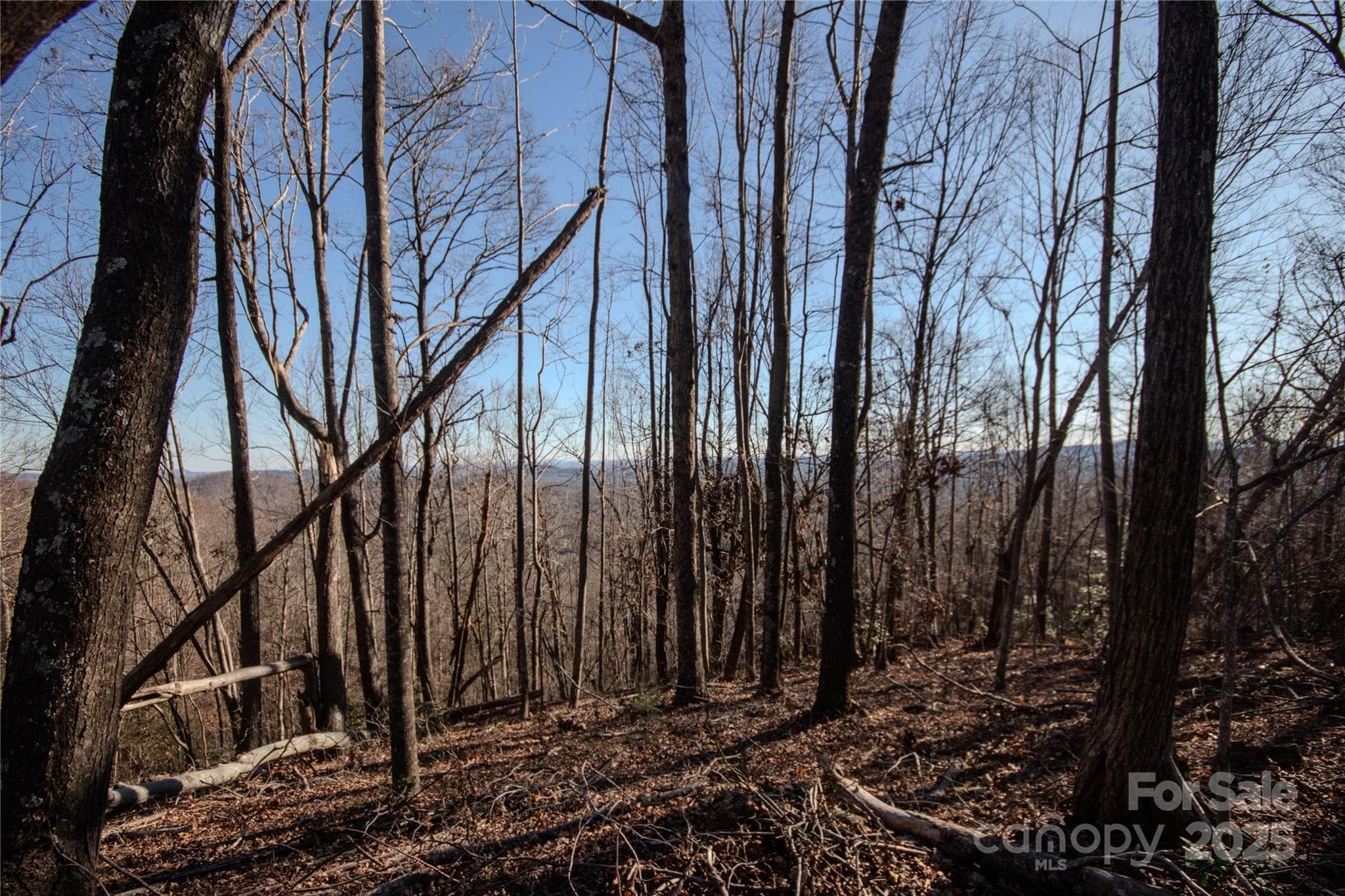 Lot at Lenoir, photo 9 of 12