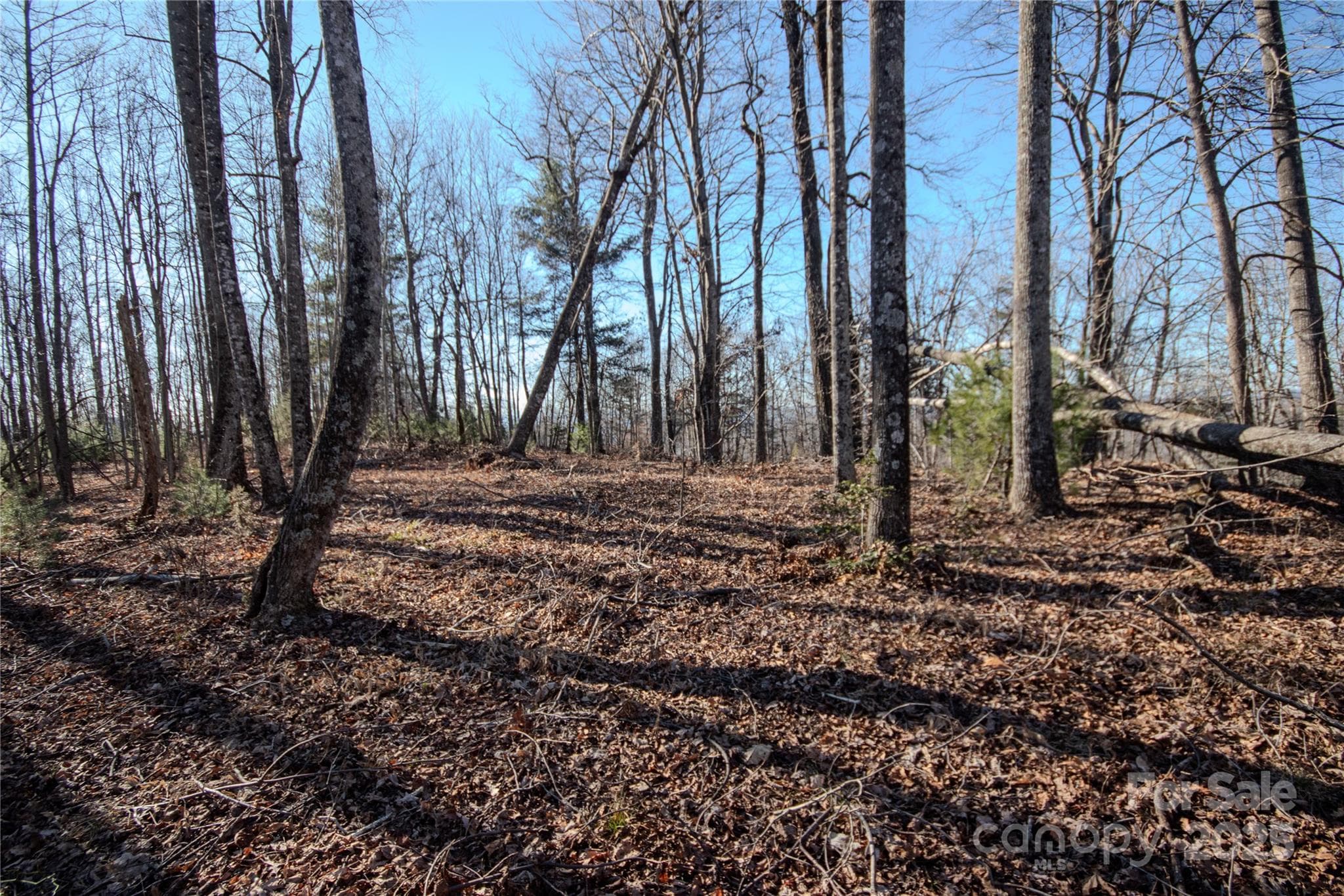 Lot at Lenoir, photo 10 of 12