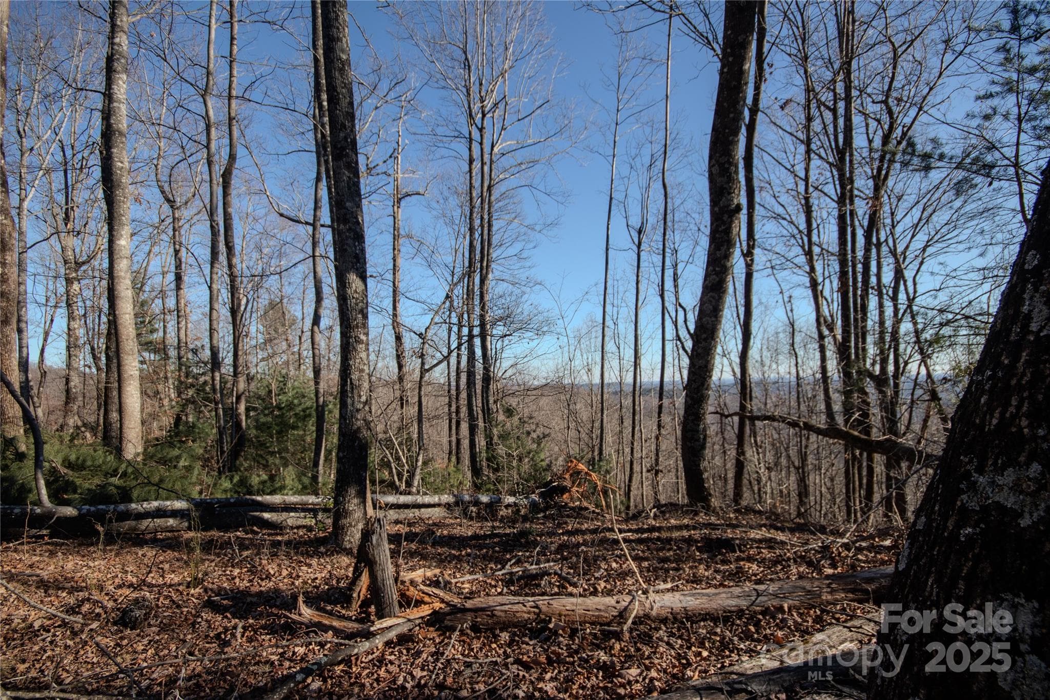 Lot at Lenoir, photo 11 of 12