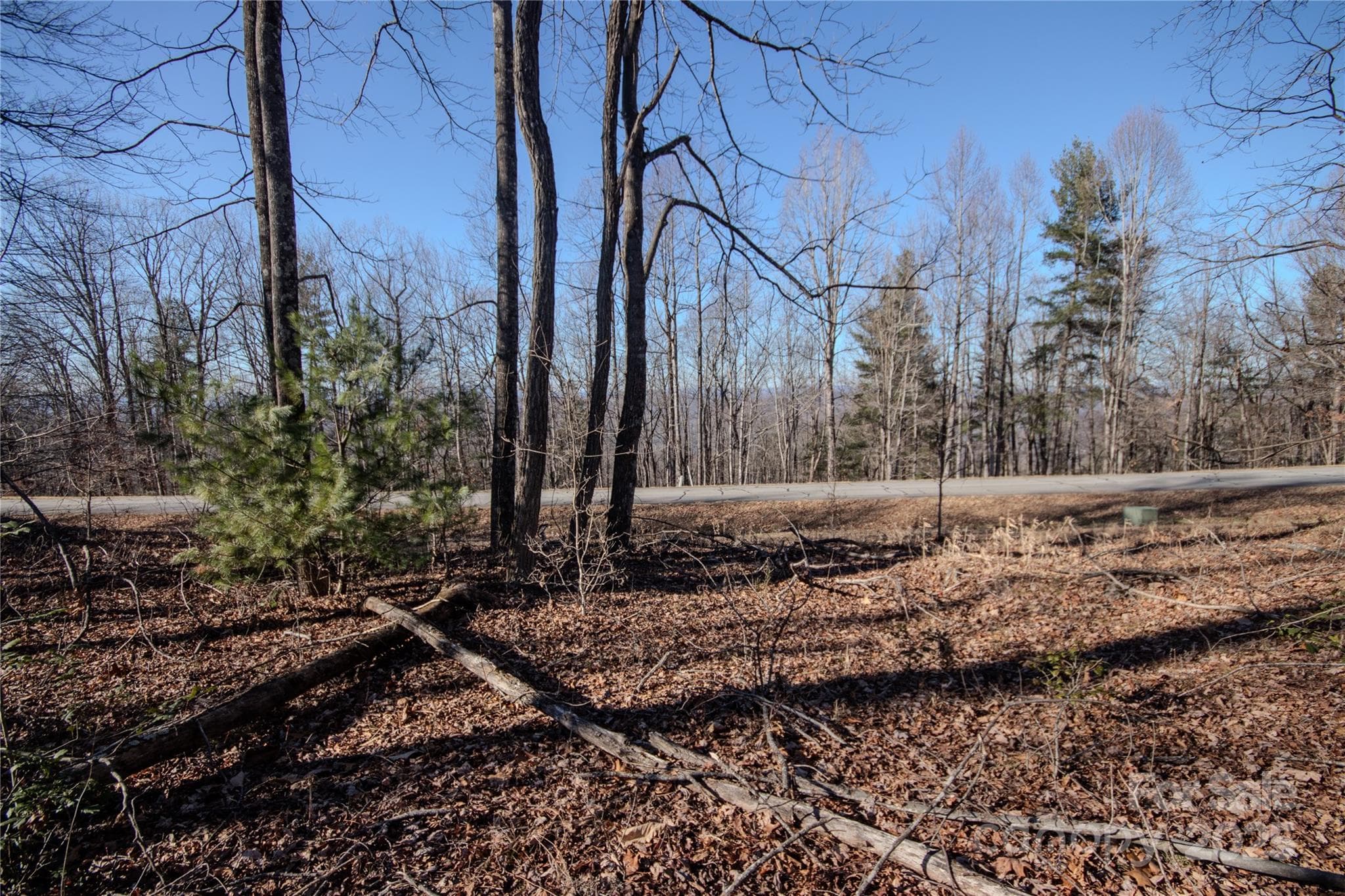 Lot at Lenoir, photo 12 of 12