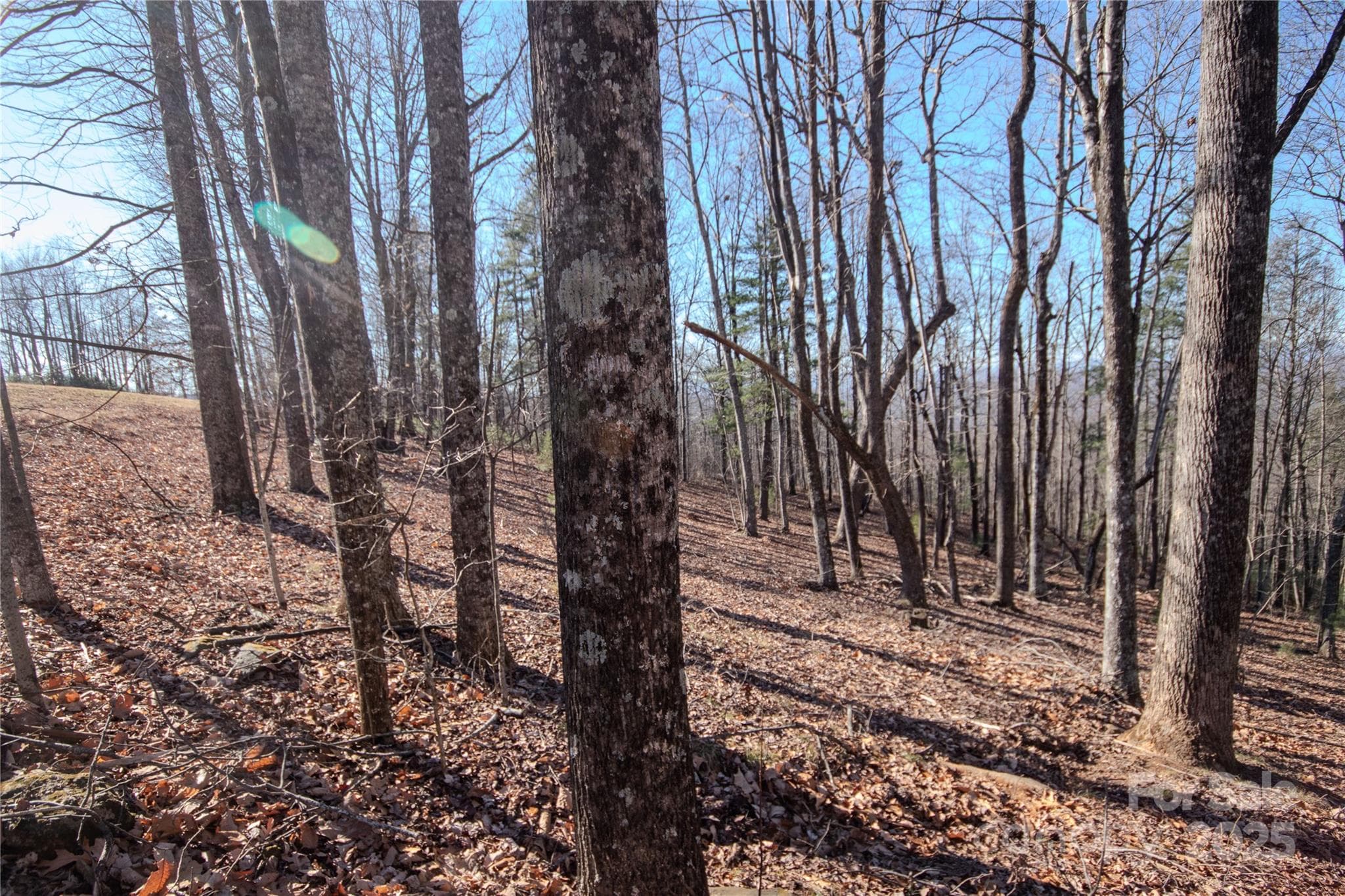 Lot at Lenoir, photo 6 of 11
