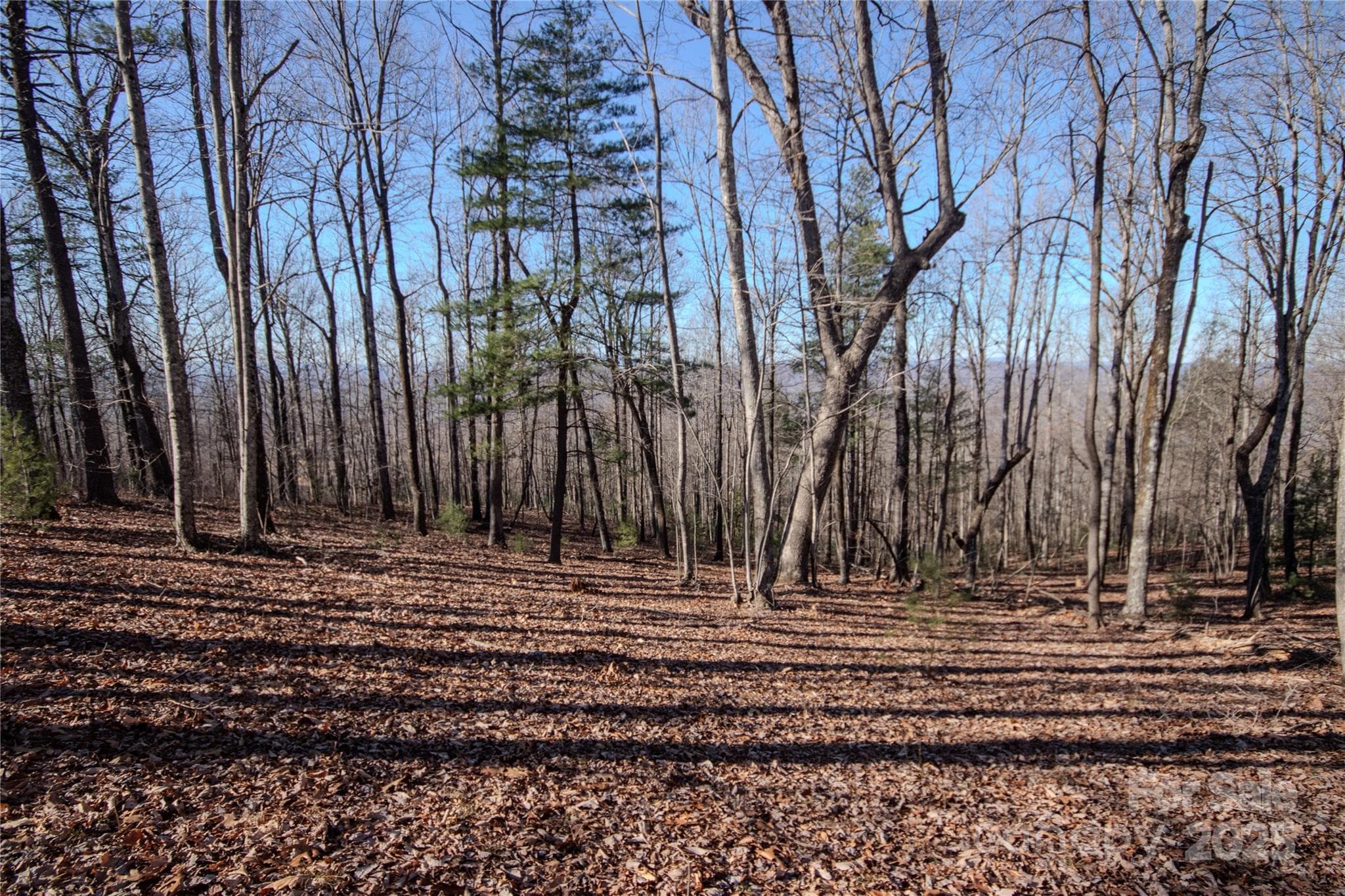 Lot at Lenoir, photo 8 of 11