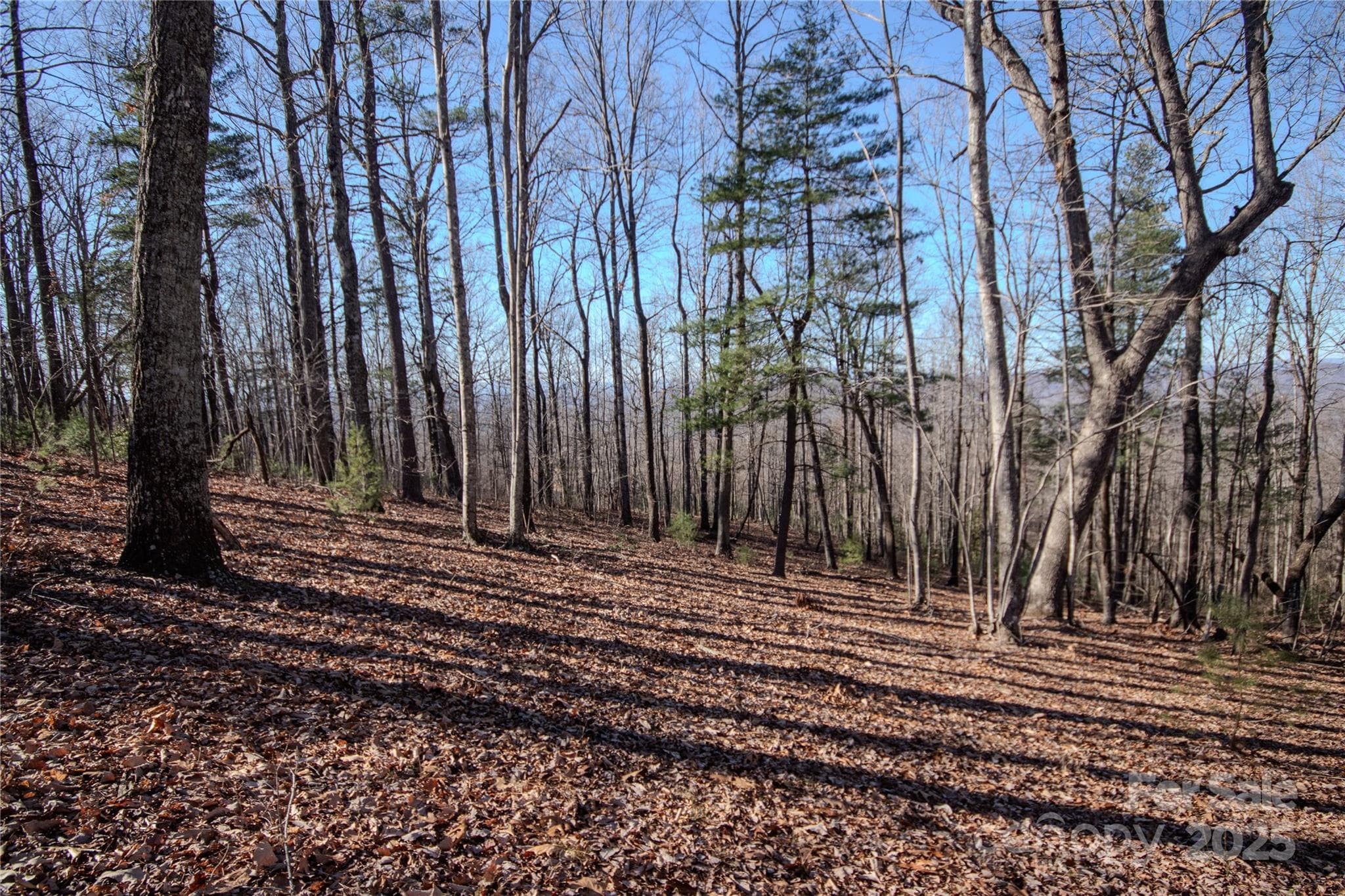 Lot at Lenoir, photo 9 of 11