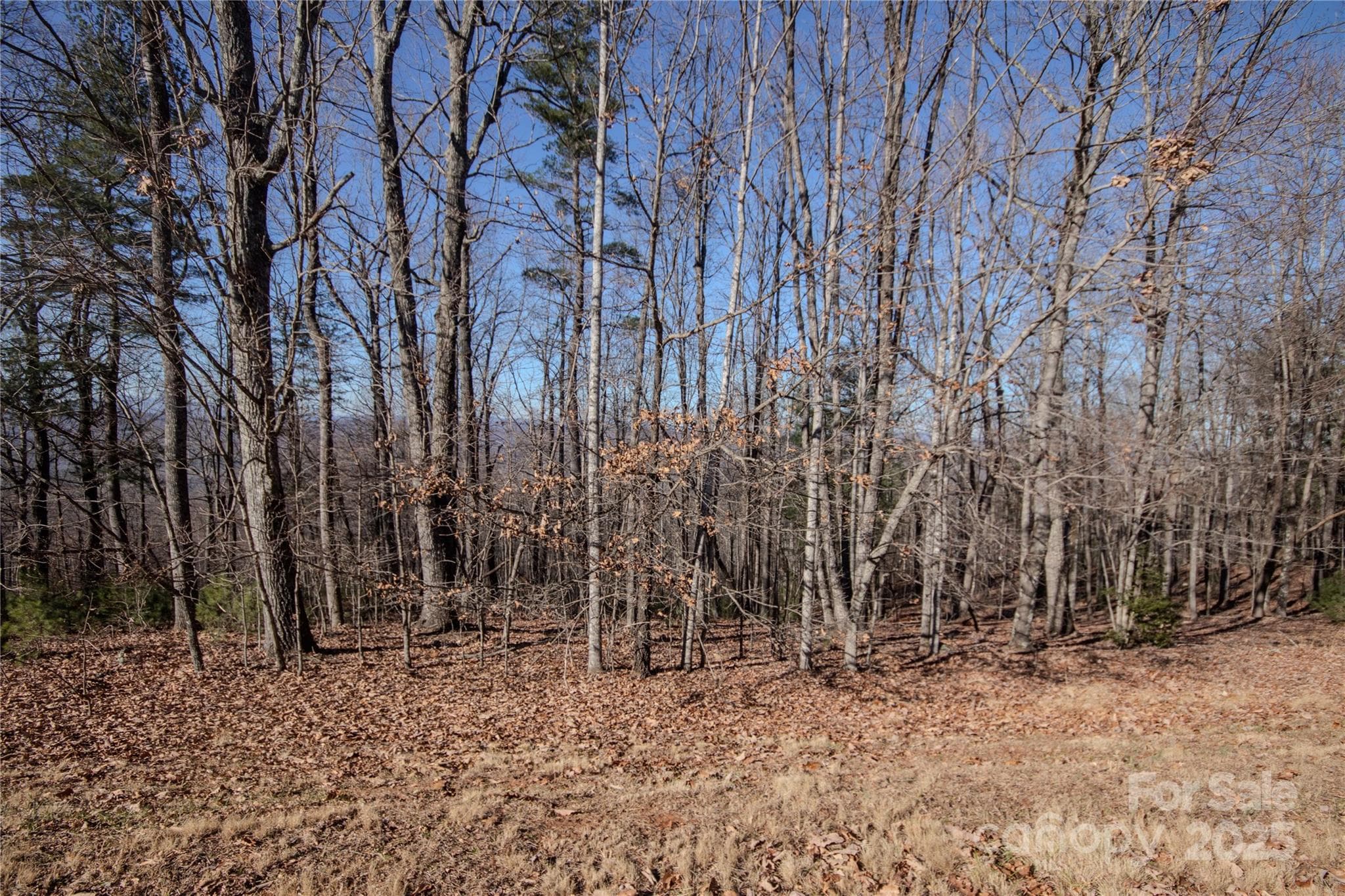 Lot at Lenoir, photo 10 of 11