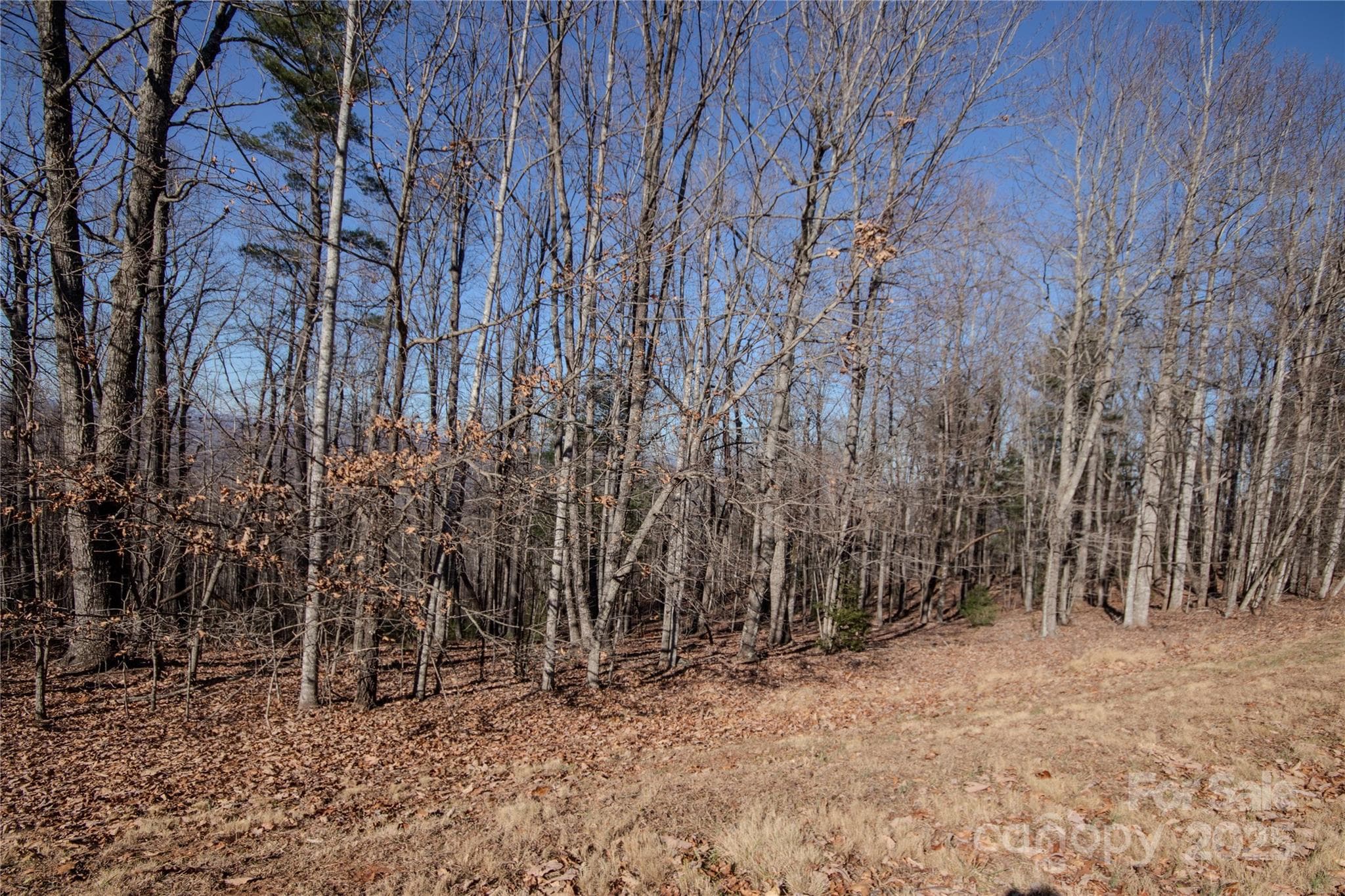Lot at Lenoir, photo 11 of 11