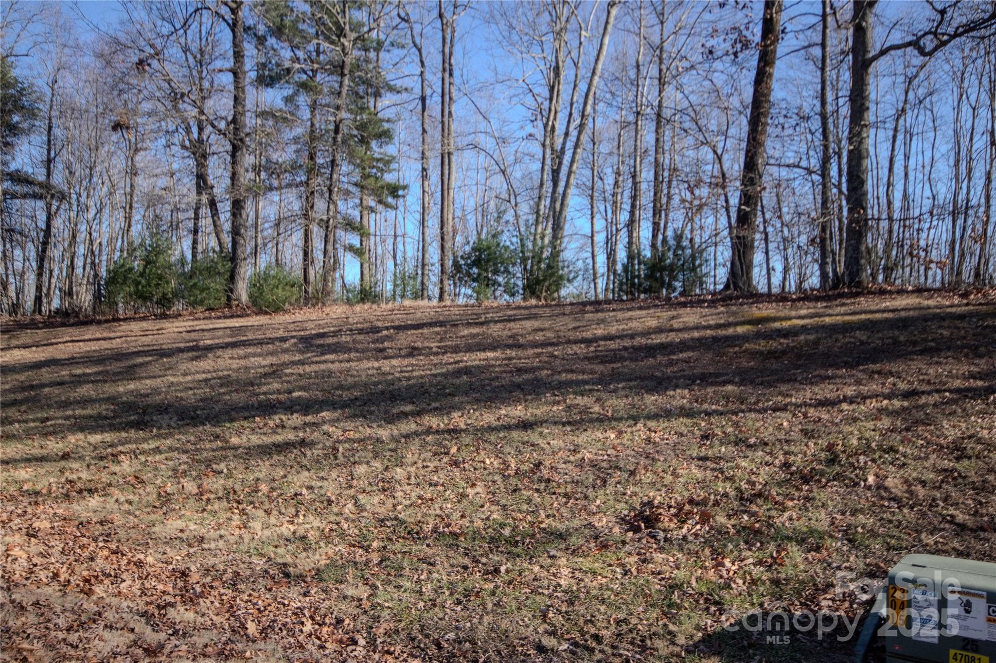 View From Road - Lenoir