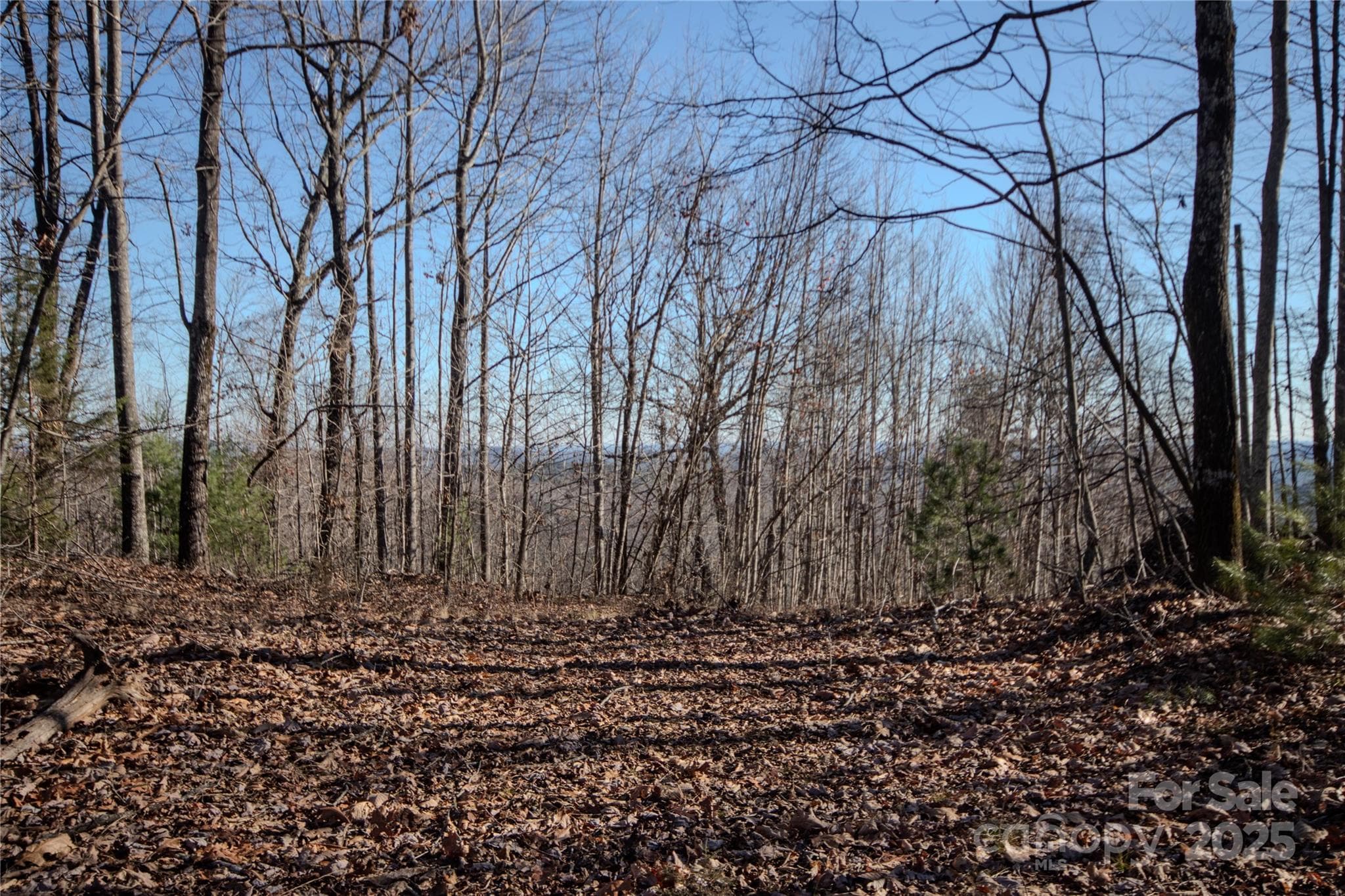 Long Range Views!! - Lenoir