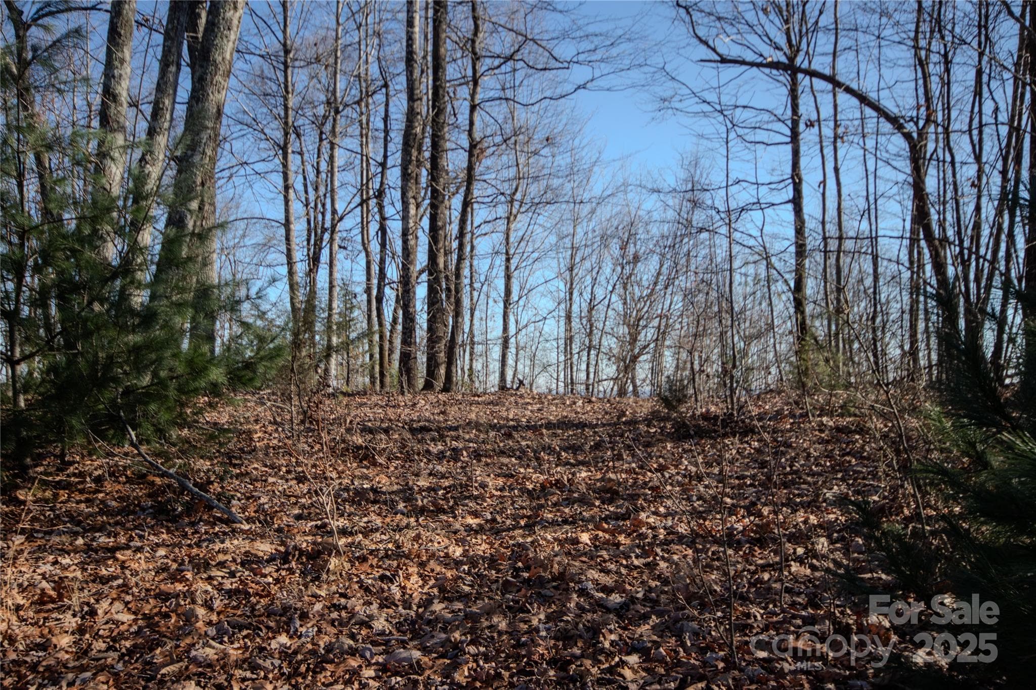 Lot at Lenoir, photo 6 of 11