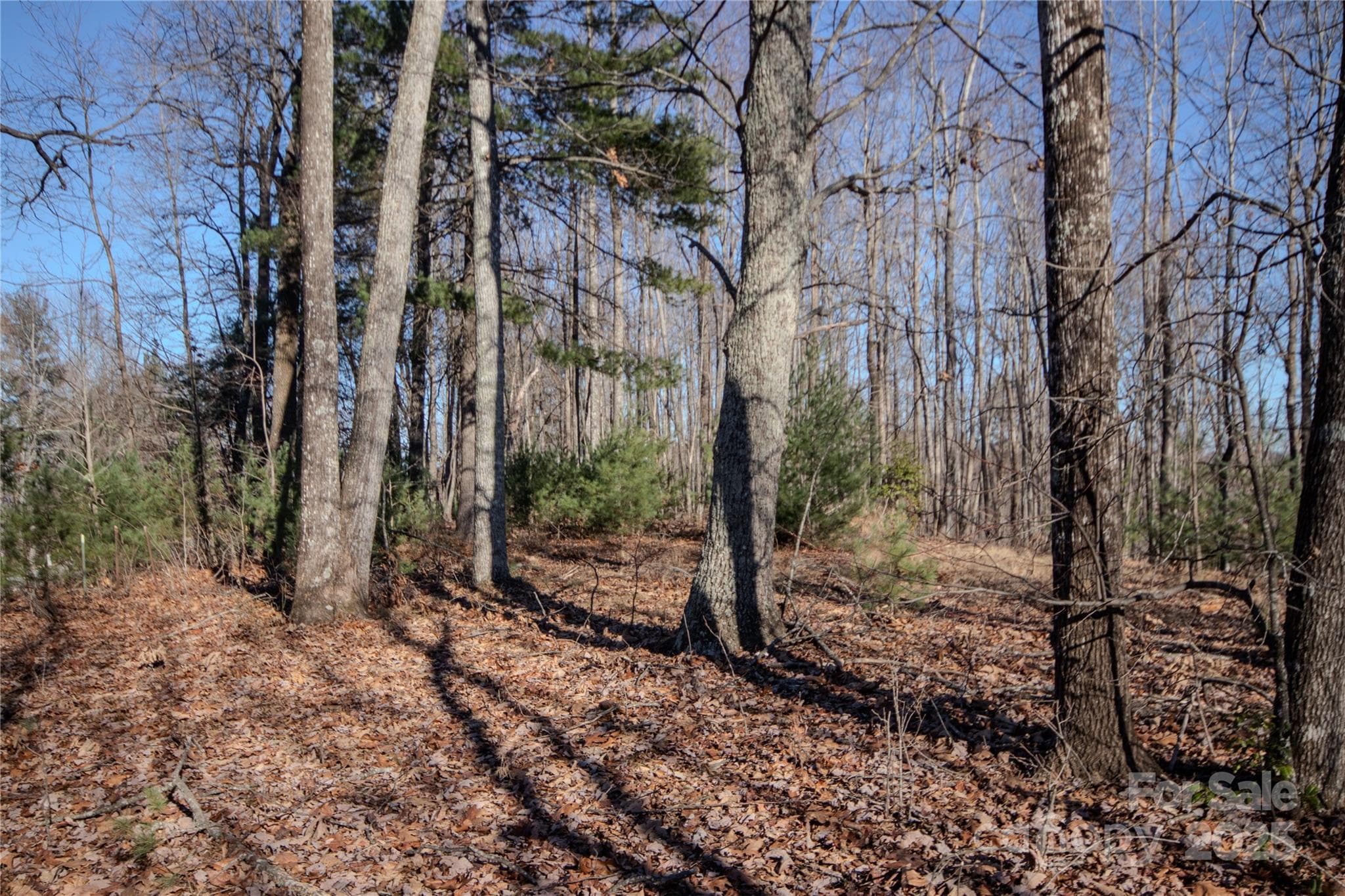 Lot at Lenoir, photo 7 of 11