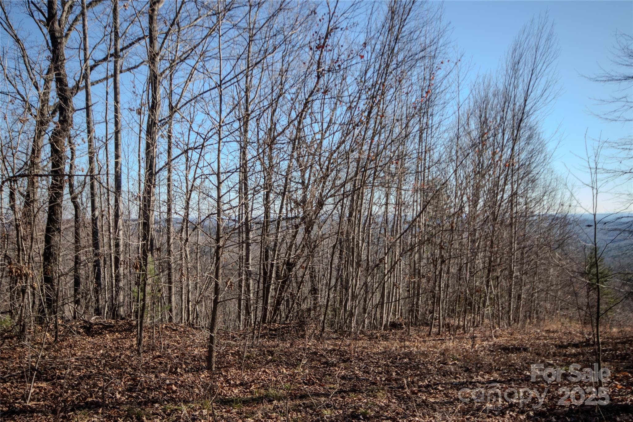 Lot at Lenoir, photo 8 of 11