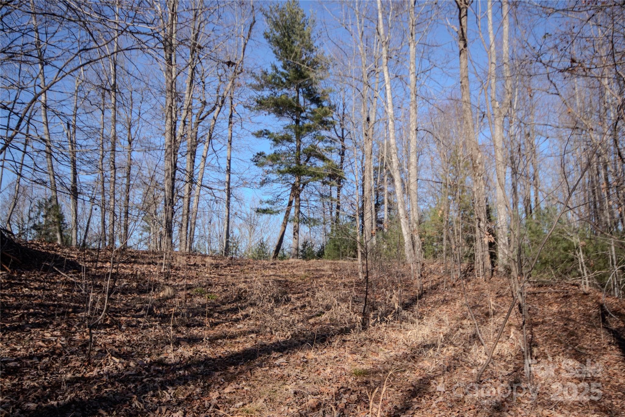 Lot at Lenoir, photo 9 of 11