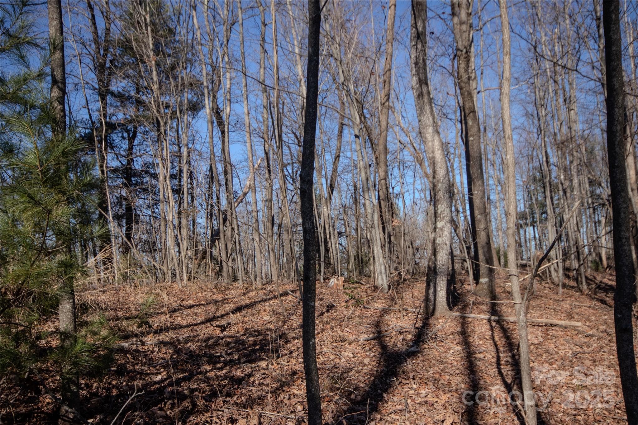 Lot at Lenoir, photo 10 of 11
