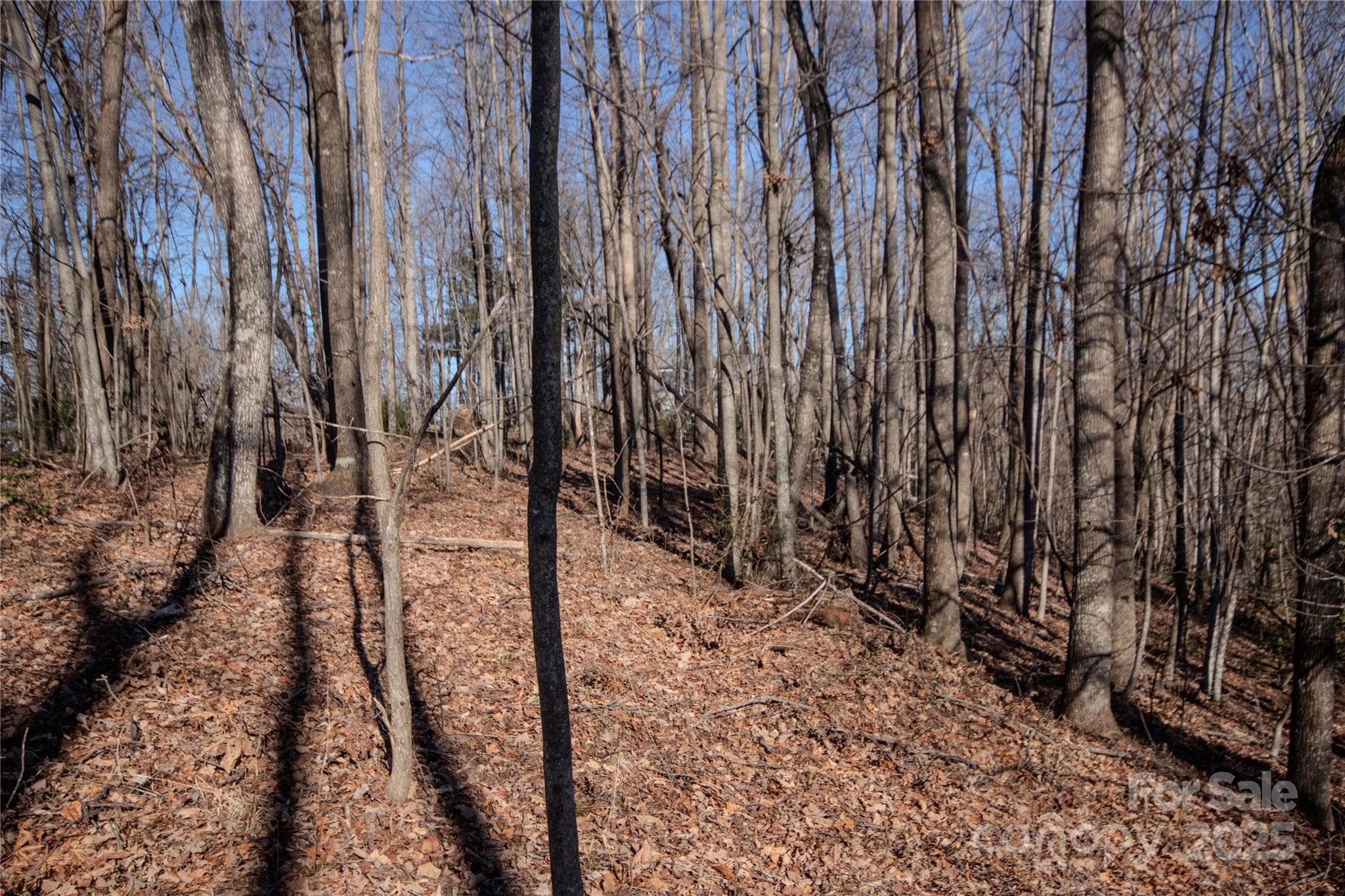 Lot at Lenoir, photo 11 of 11